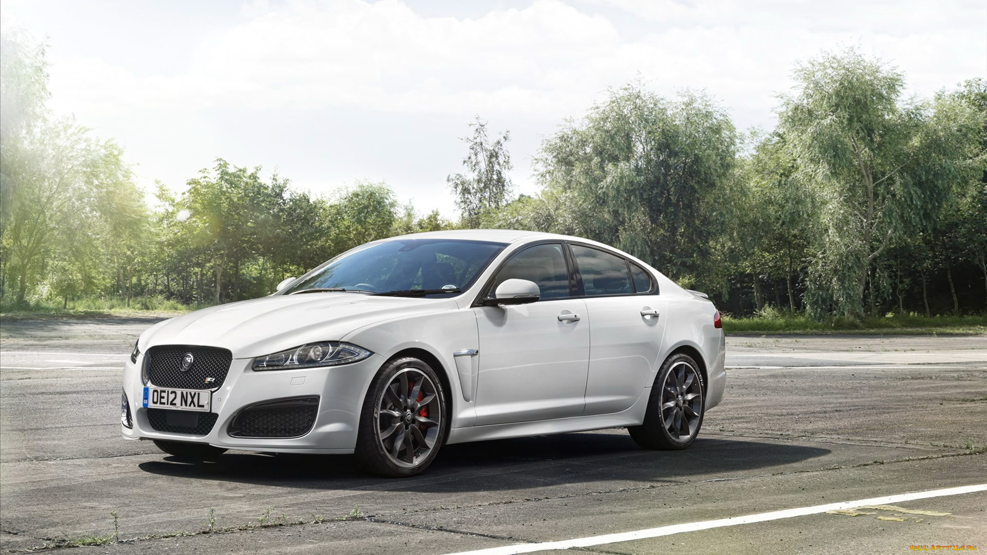 автомобили, jaguar, дорога, деревья