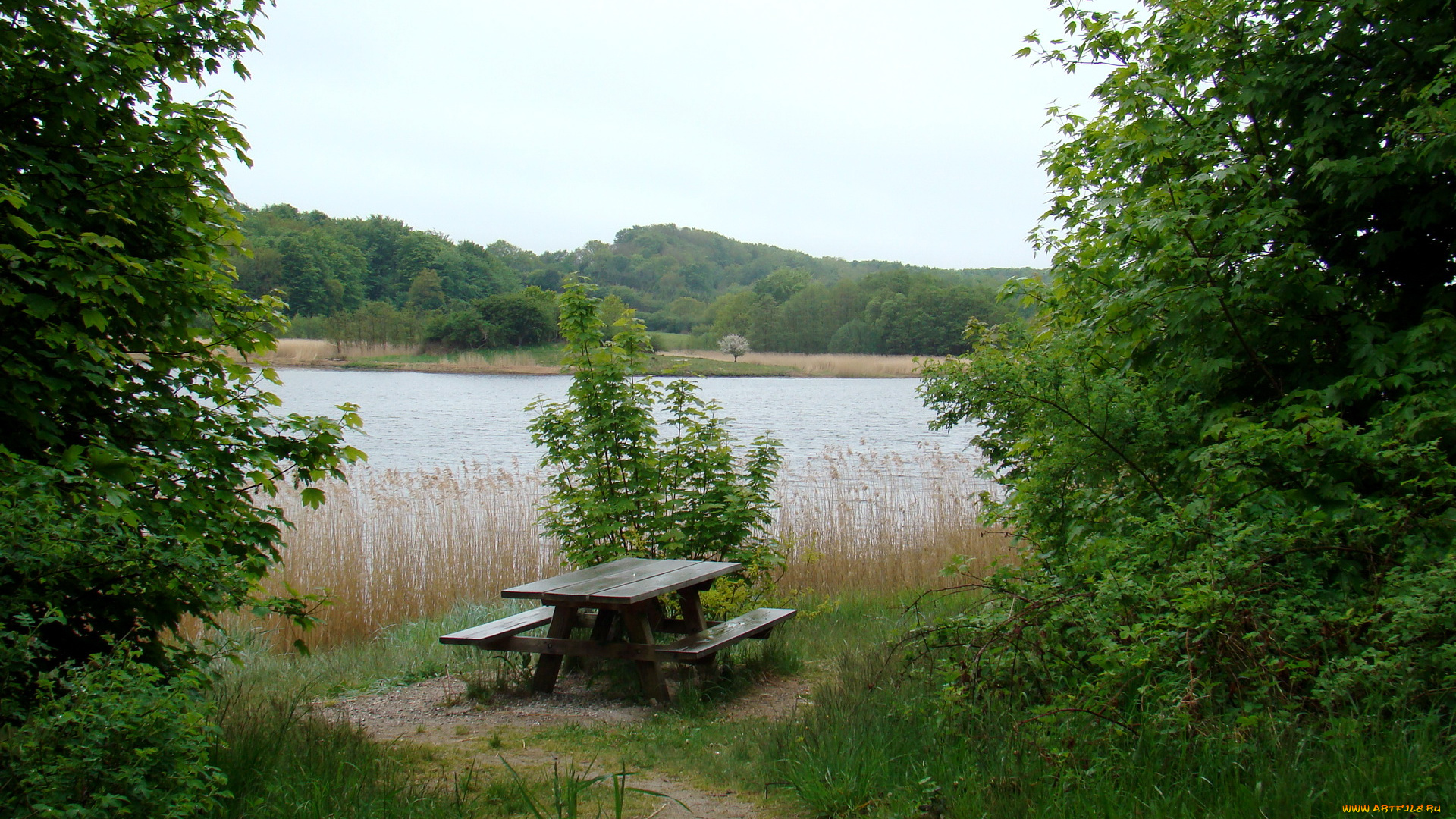 дания, rоdekro, природа, реки, озера, река, берег