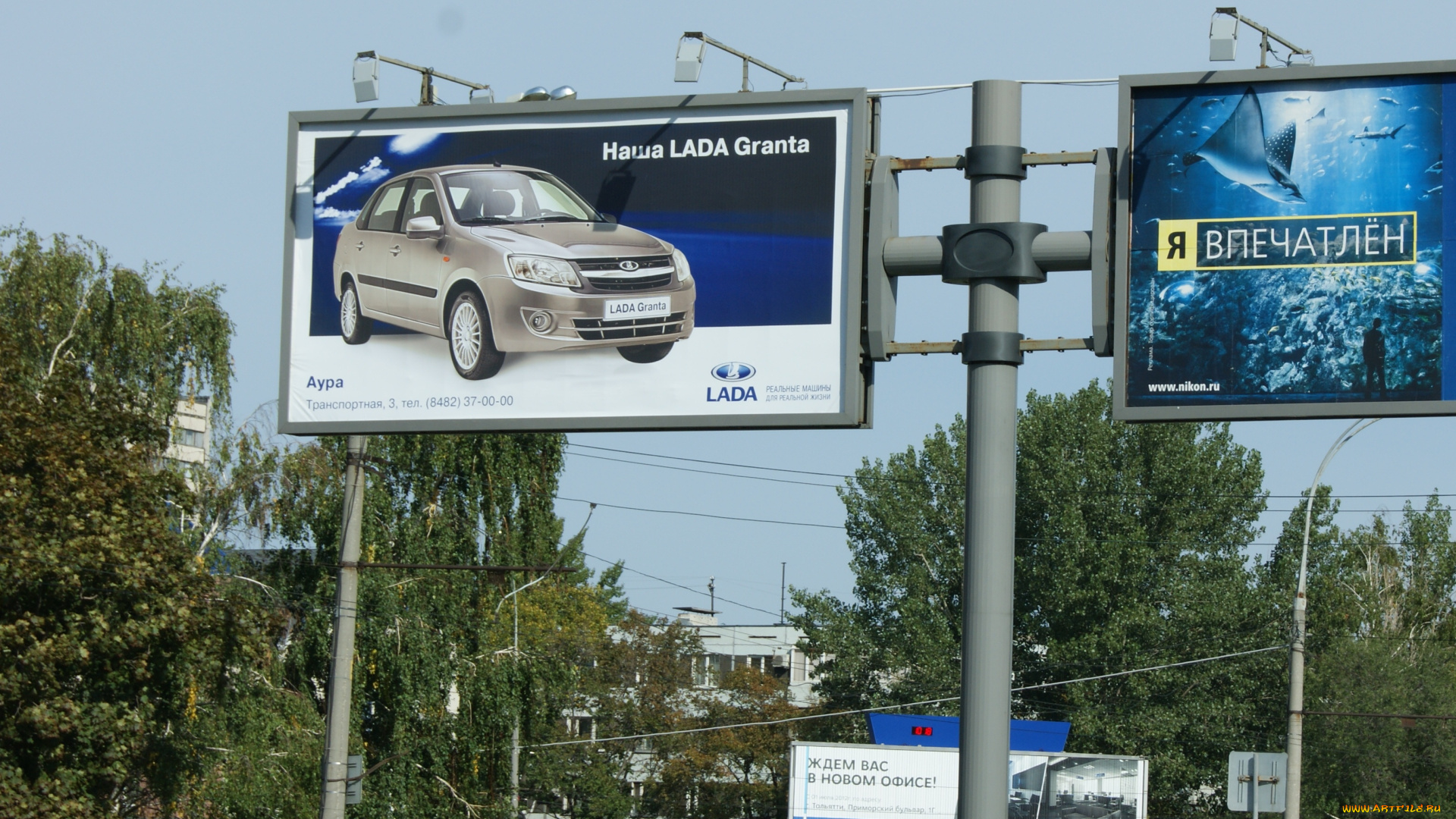 даже, рыбы, под, впечатлением, от, новой, вазовской, малолитражки, юмор, приколы, рекламные, щиты, деревья, дома, небо, столбы