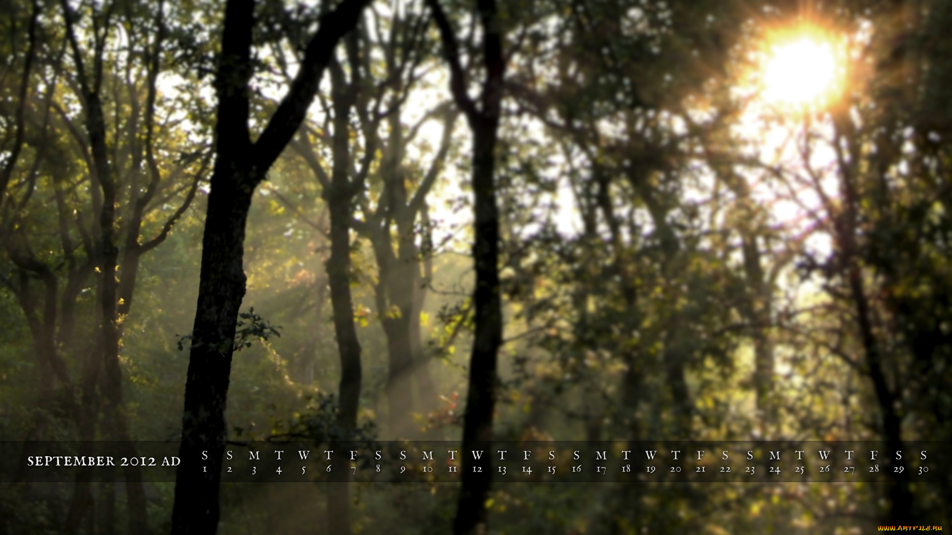 календари, природа, солнце, деревья