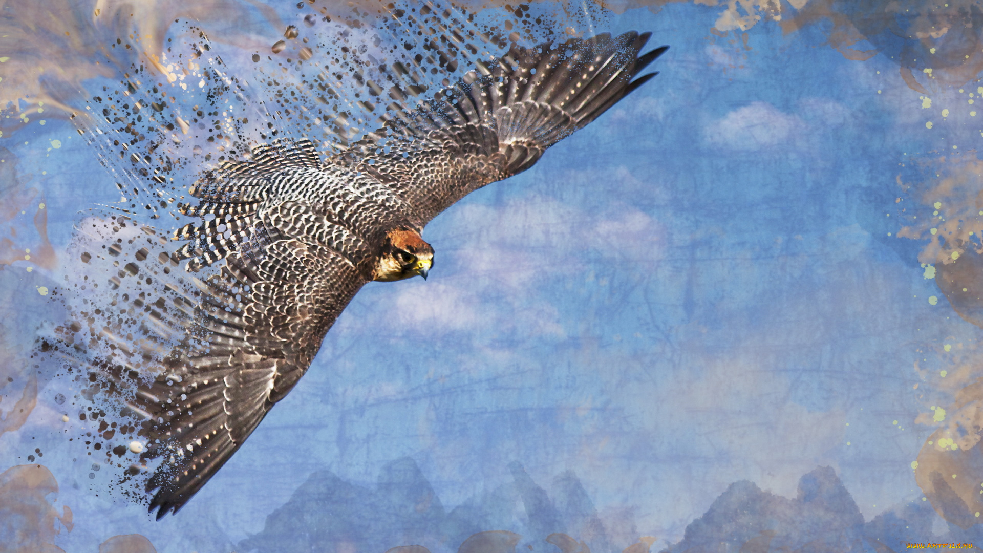 разное, компьютерный, дизайн, стиль, птица, небо, сокол