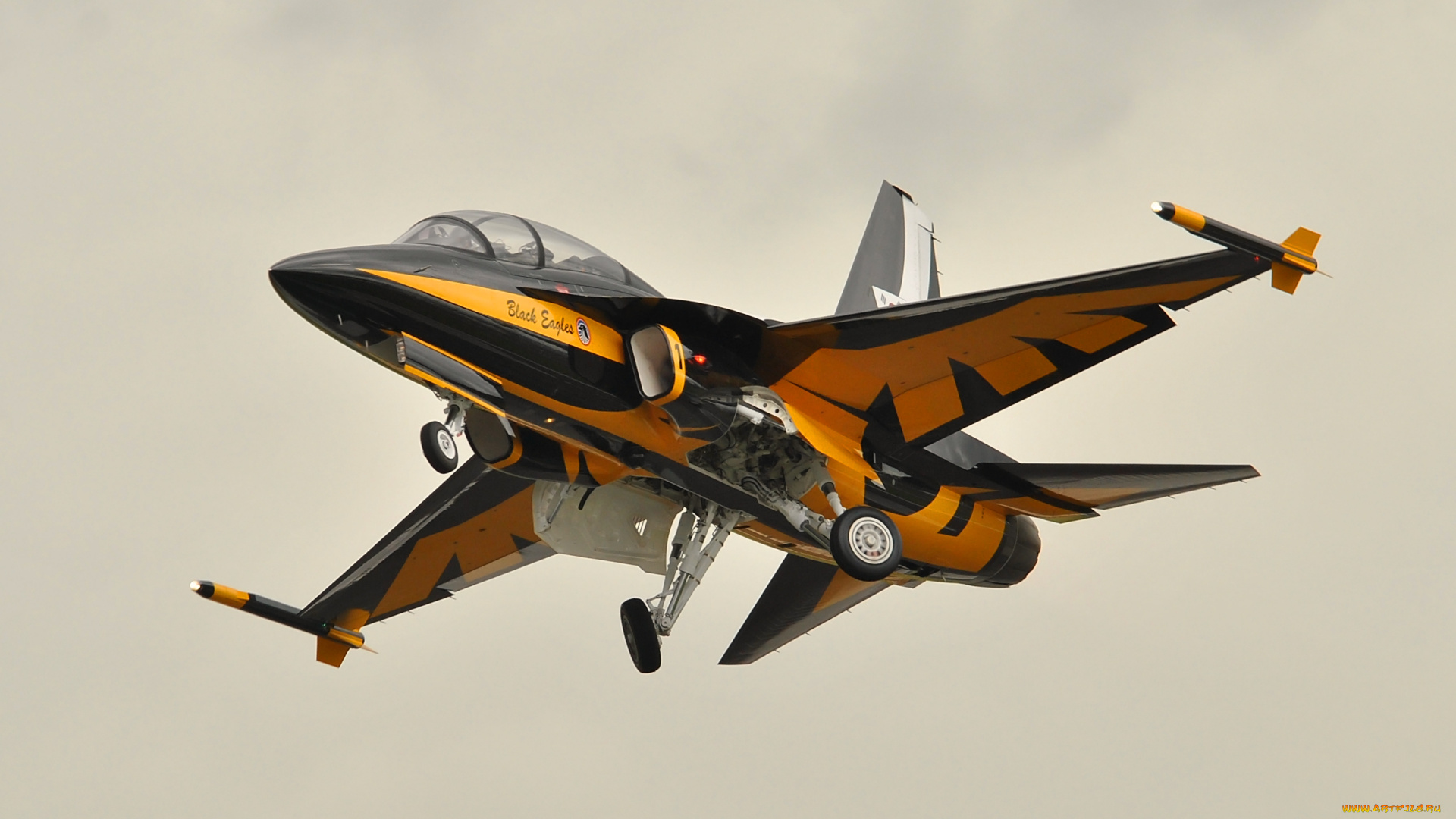 t50, trainer, farnborough, airshow, 2012, авиация, боевые, самолёты, истребитель, в, полете, учебно-тренировочный