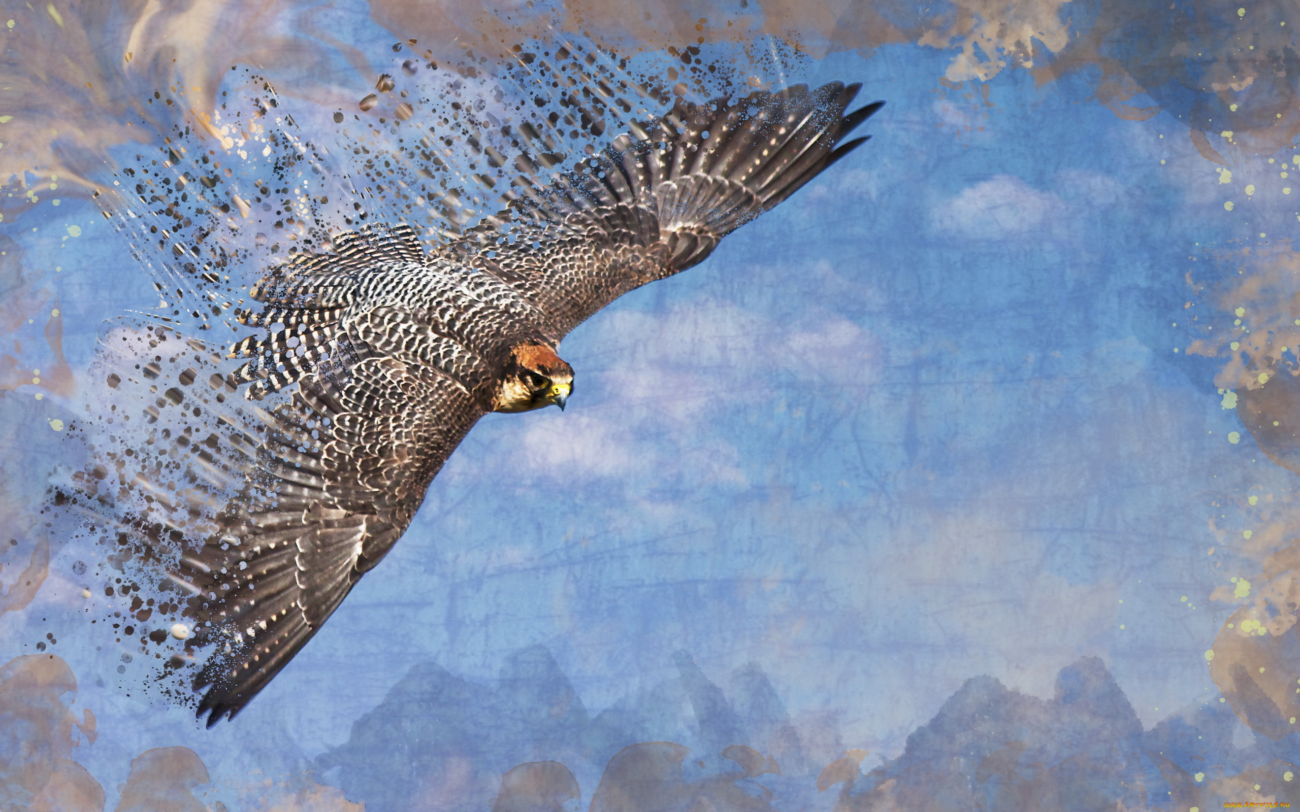 разное, компьютерный, дизайн, стиль, птица, небо, сокол