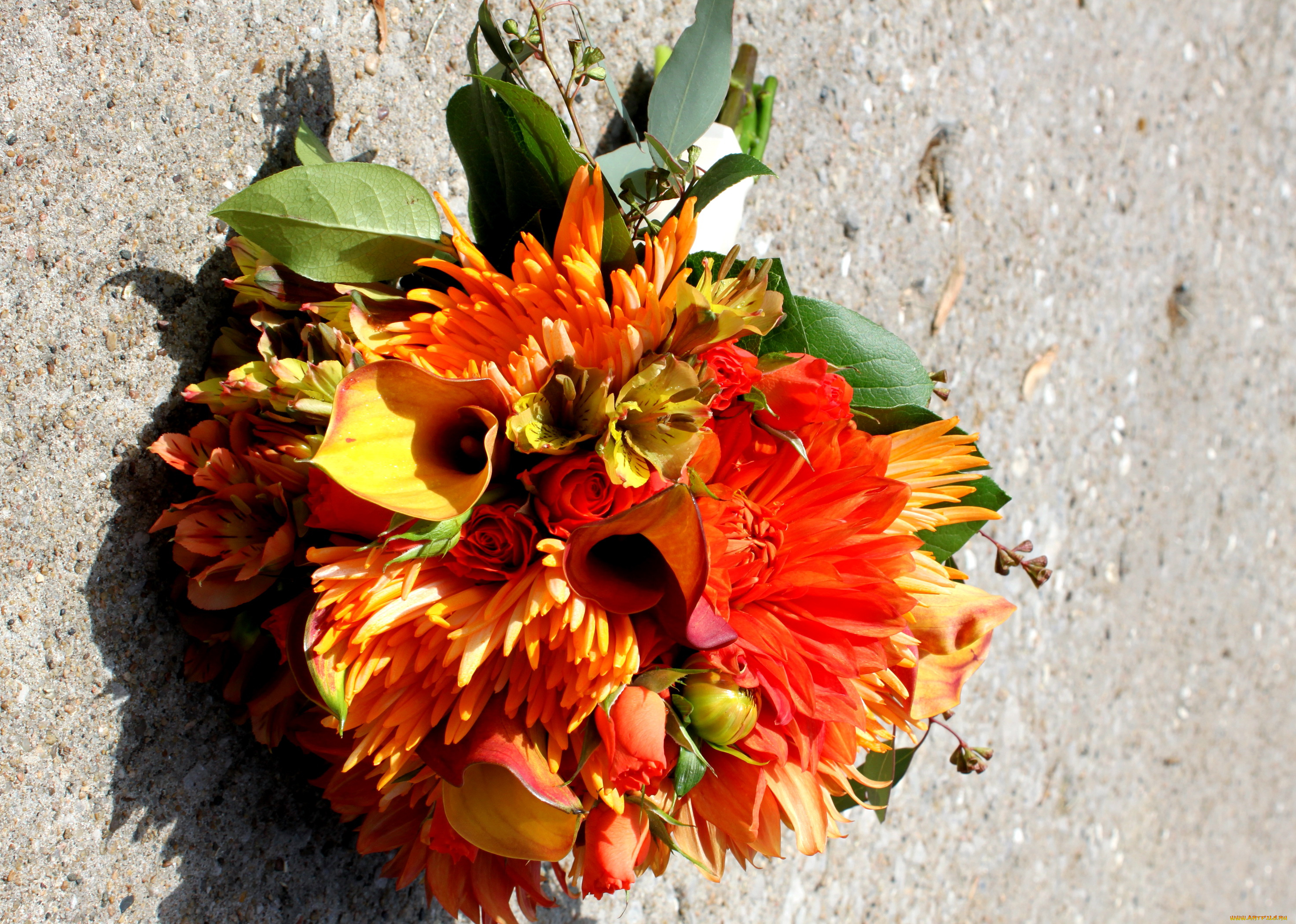 цветы, букеты, композиции, розы, букет