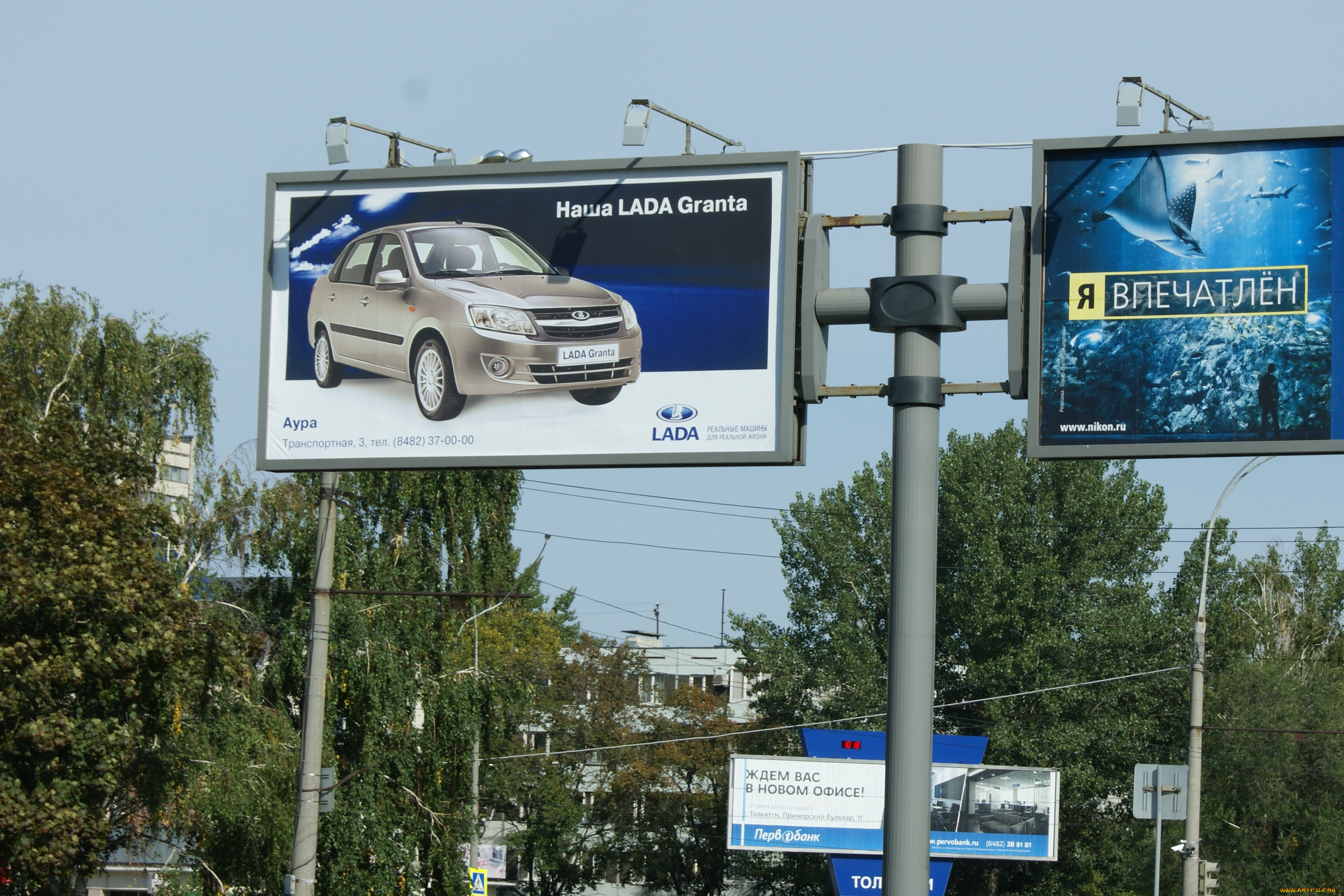 даже, рыбы, под, впечатлением, от, новой, вазовской, малолитражки, юмор, приколы, рекламные, щиты, деревья, дома, небо, столбы