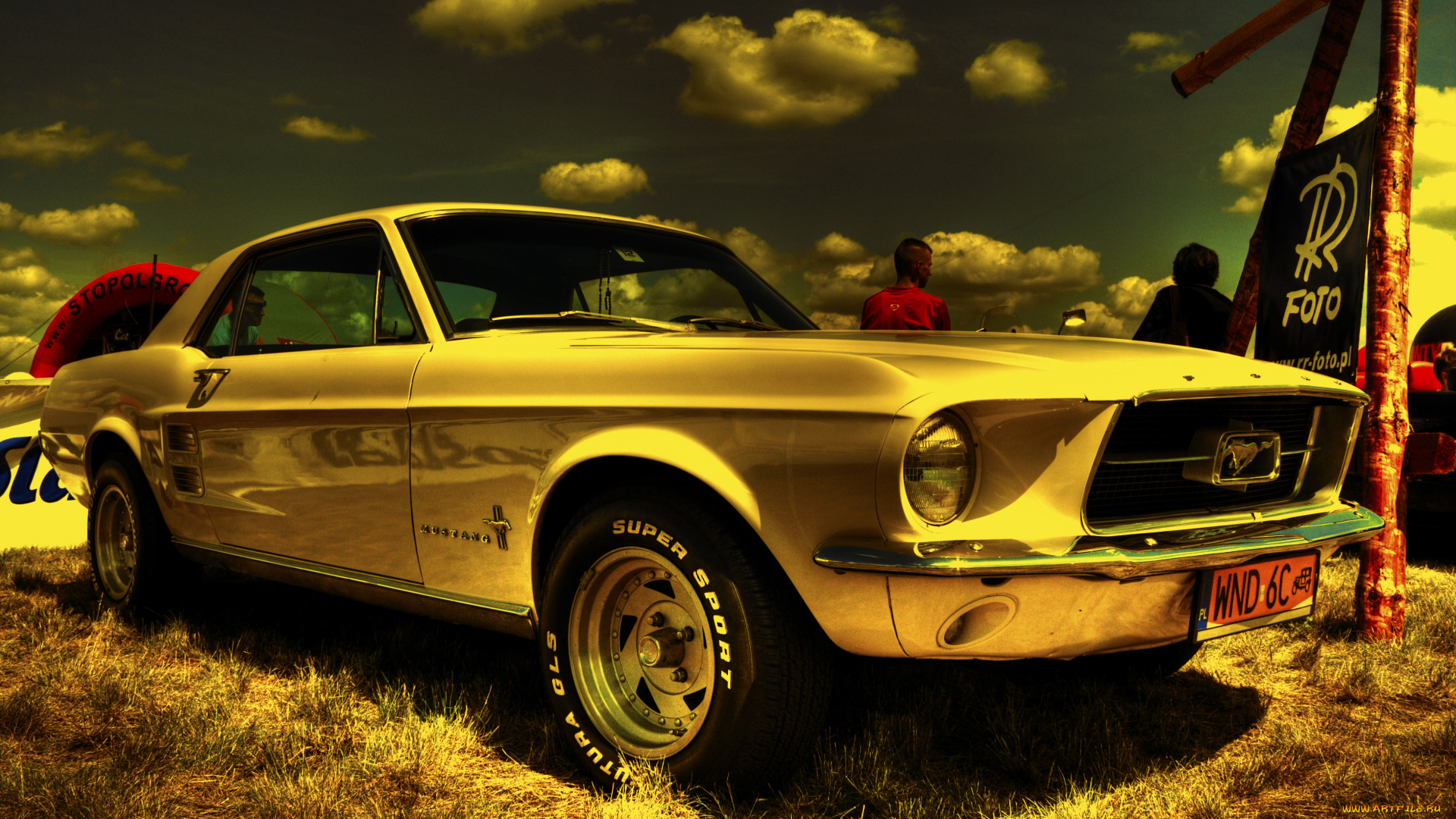 автомобили, выставки, уличные, фото, mustang