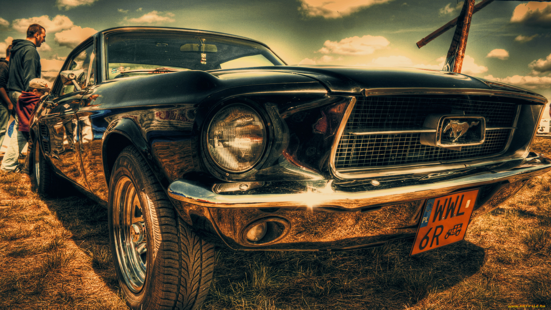 автомобили, выставки, уличные, фото, mustang