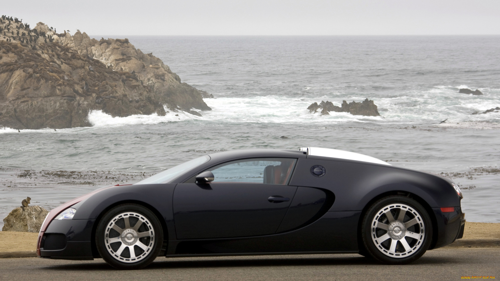 bugatti, veyron, автомобили, суперкары, automobiles, s, a, франция