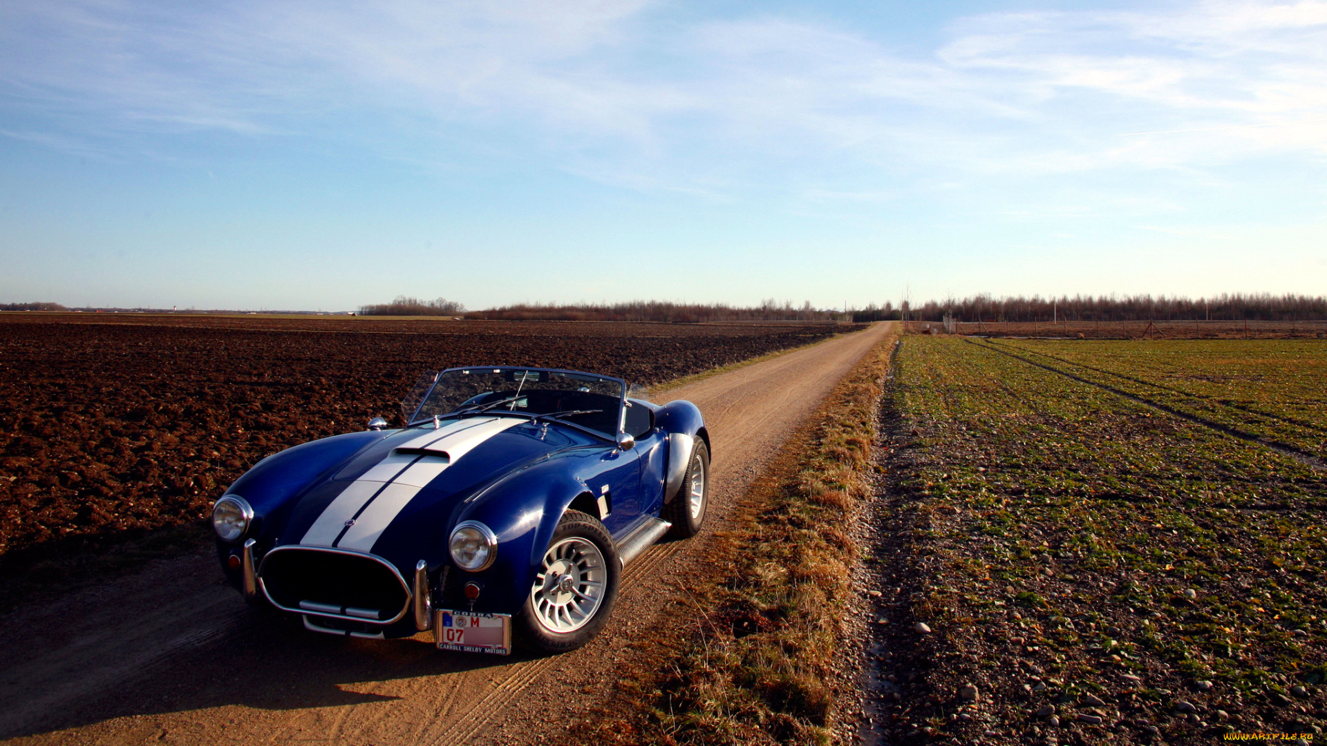 cobra, автомобили, ac, shelby, великобритания, спортивный