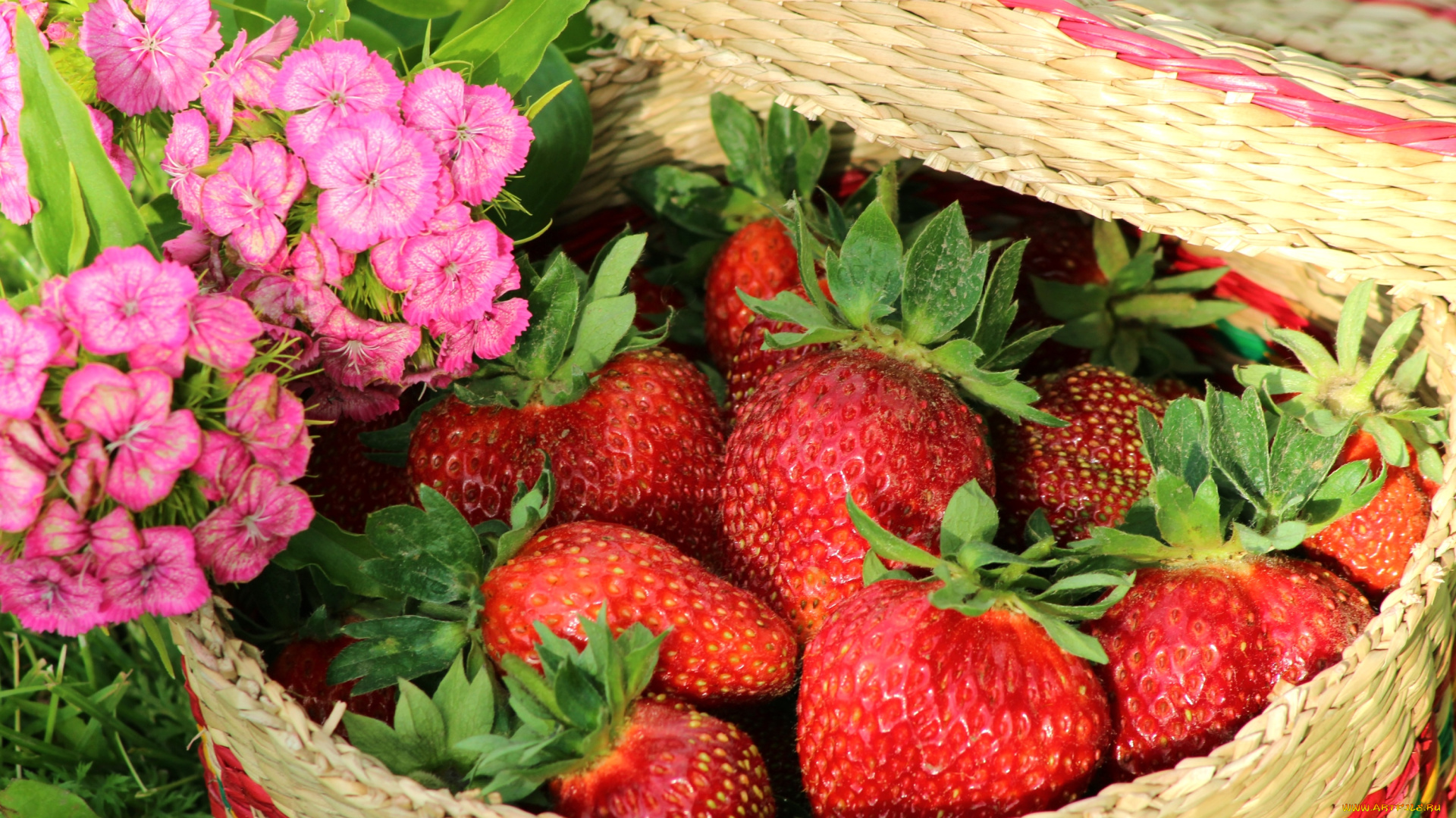еда, клубника, земляника, ягоды, гвоздики, лукошко
