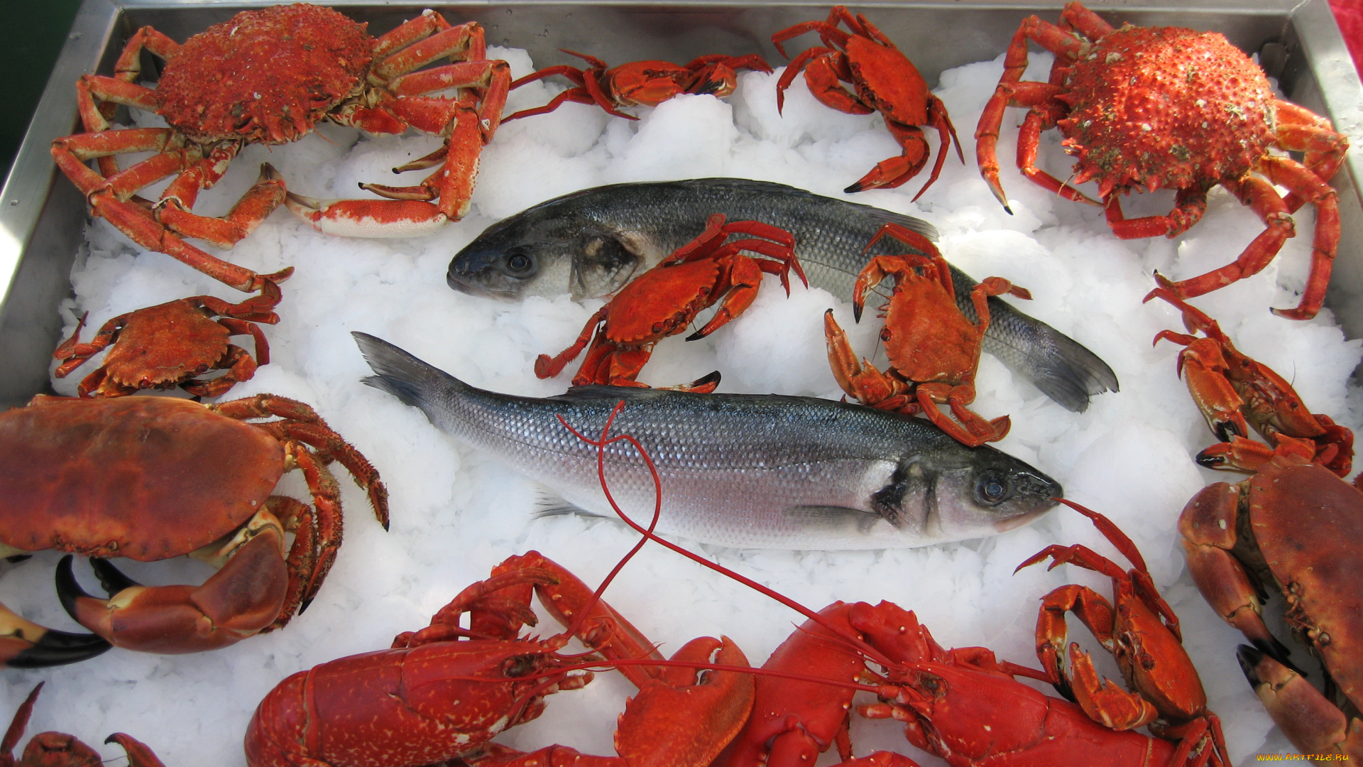 еда, рыба, морепродукты, суши, роллы, раки