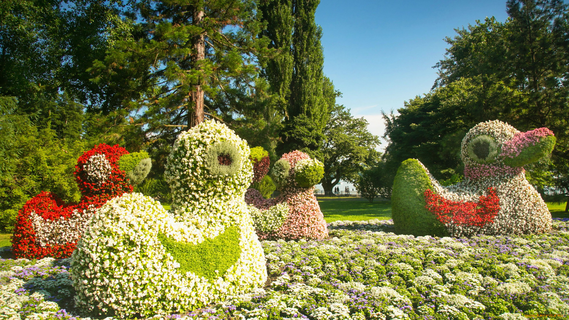 германия, констанц, природа, парк, цветы