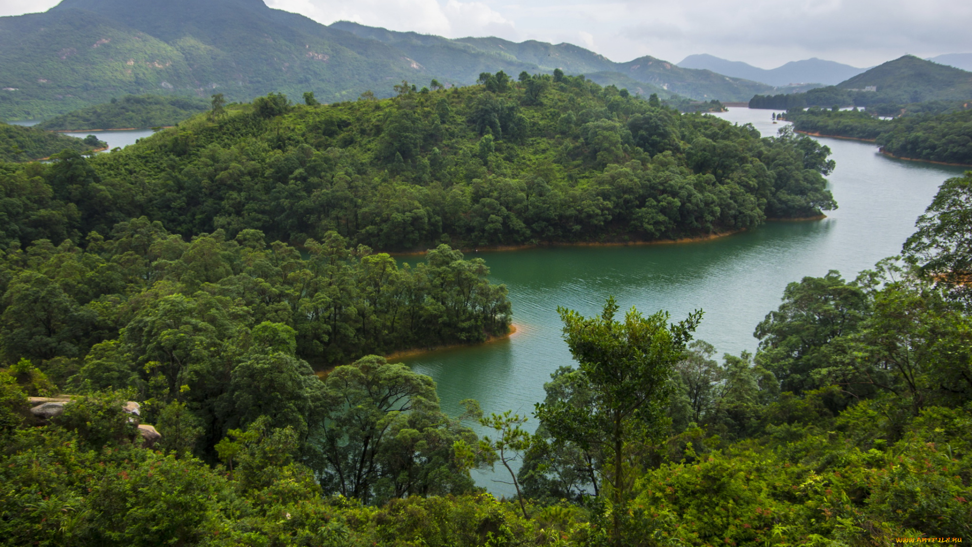 гонконг, природа, реки, озера, река, берега, лес