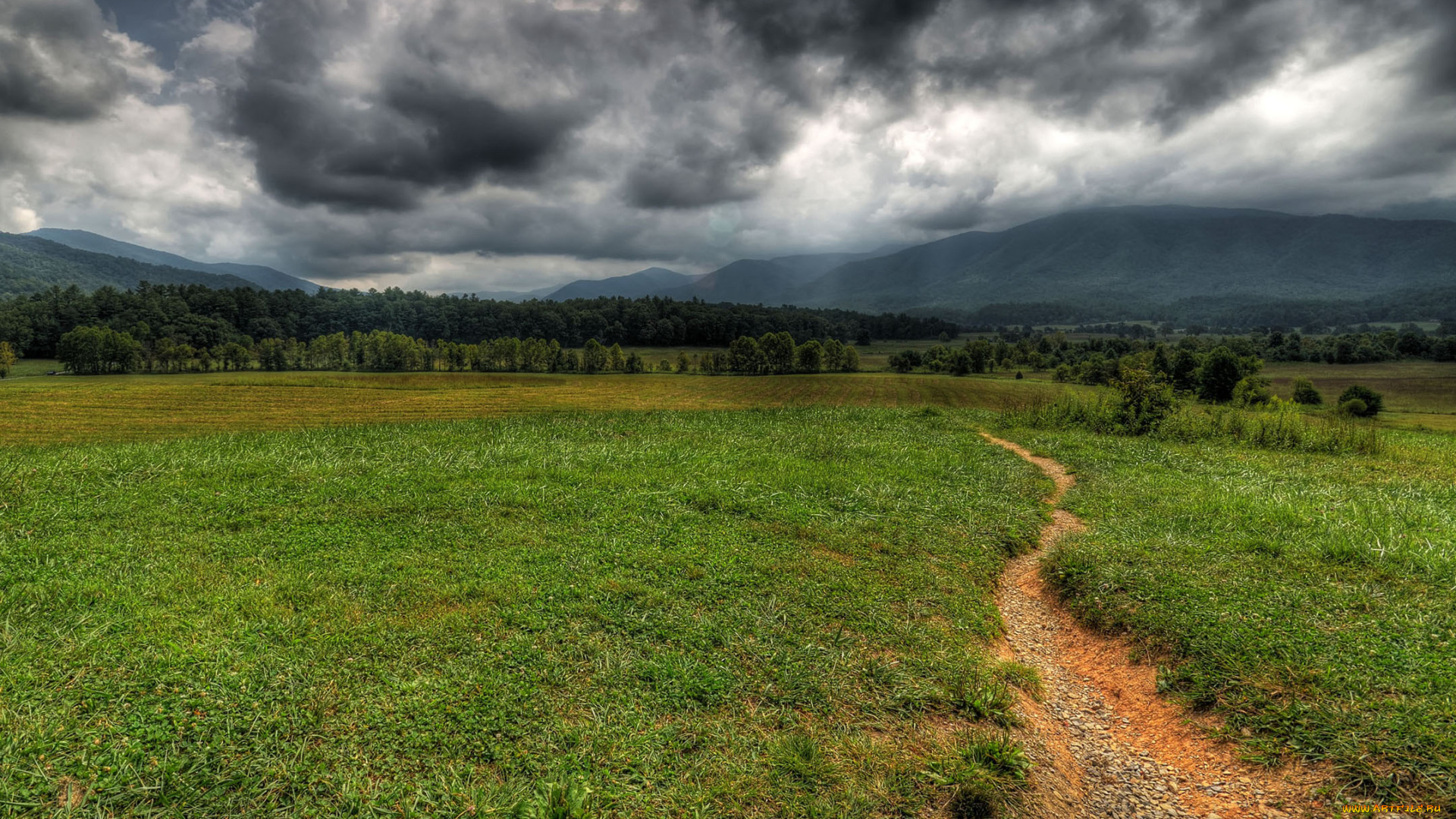 природа, дороги, сумрак, тучи, лес, трава, поле, дорога