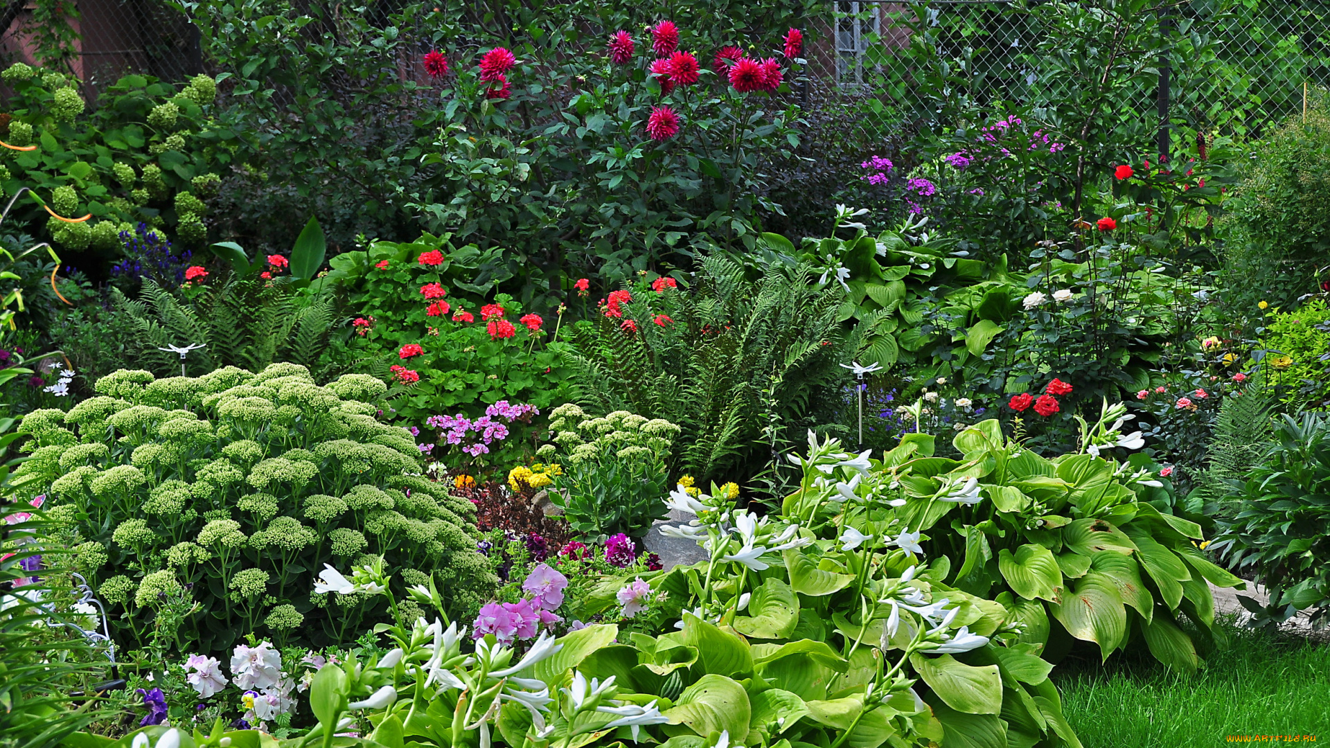 природа, парк, растения, сад, цветы