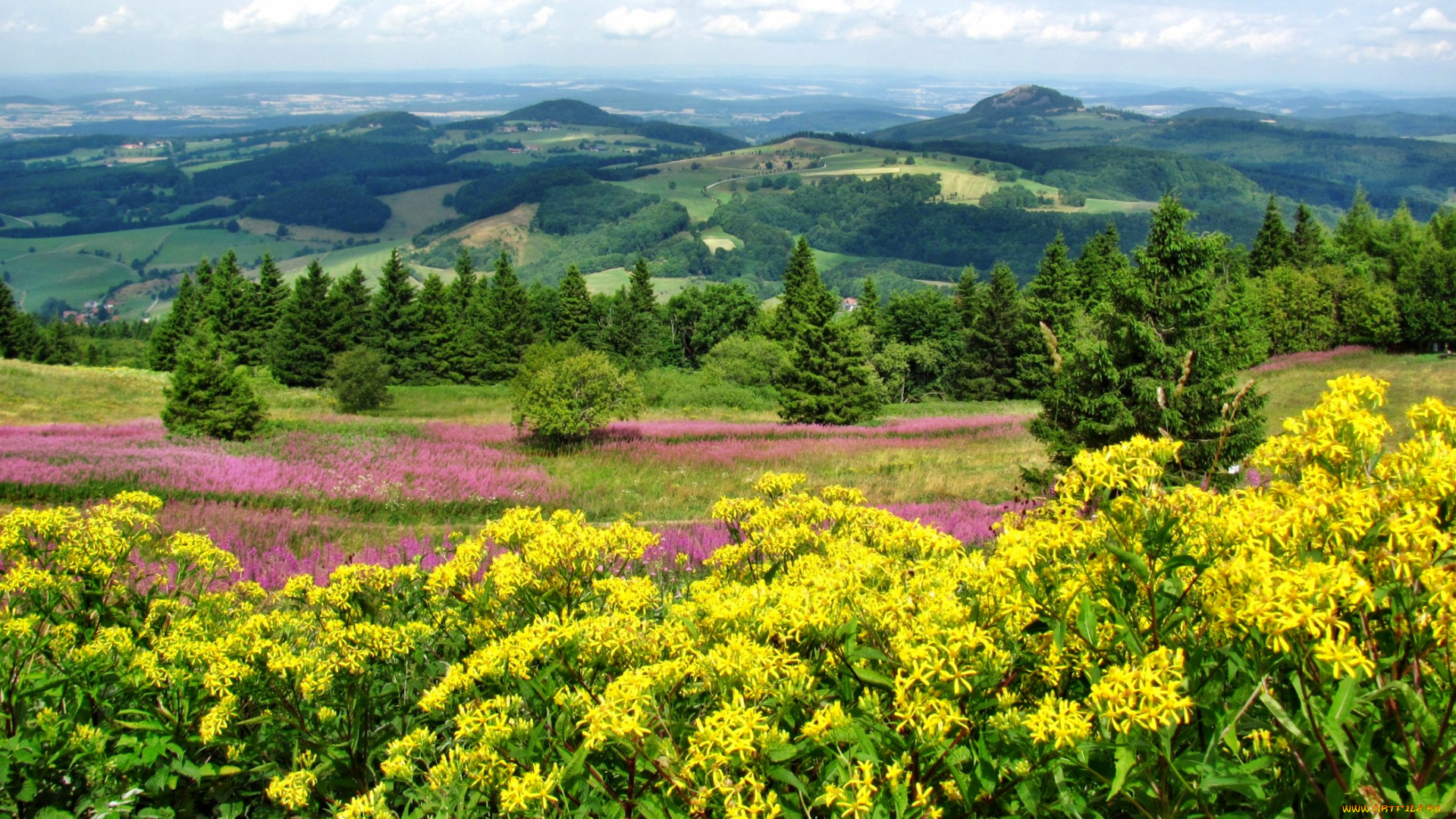 природа, пейзажи, цветы, деревья, трава, холмы, долина