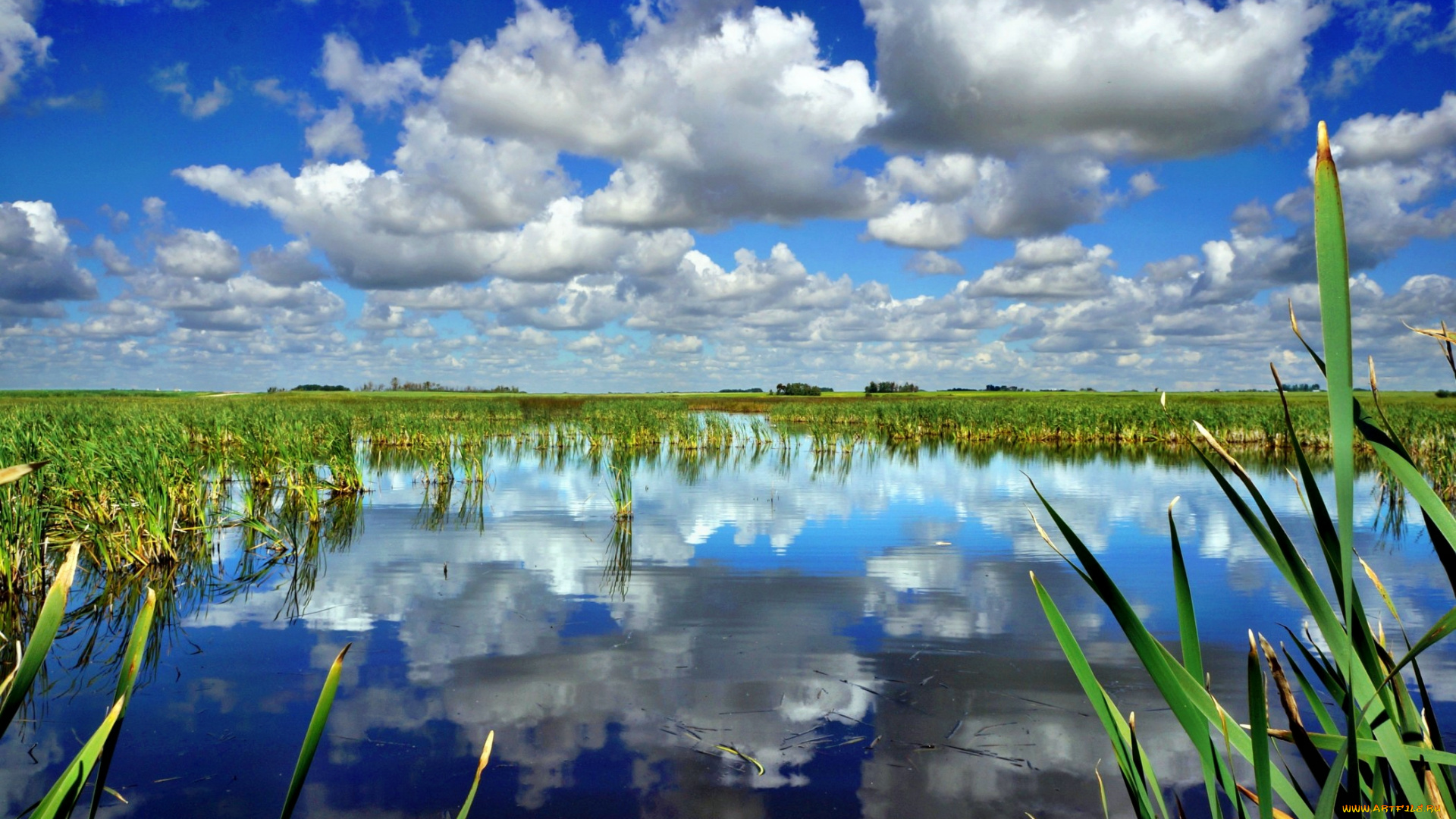 природа, реки, озера, озеро, горизонт, облака, трава