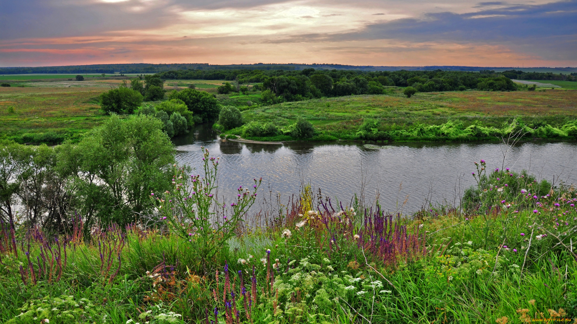 природа, реки, озера, трава, берега, река, луга, лес, равнина