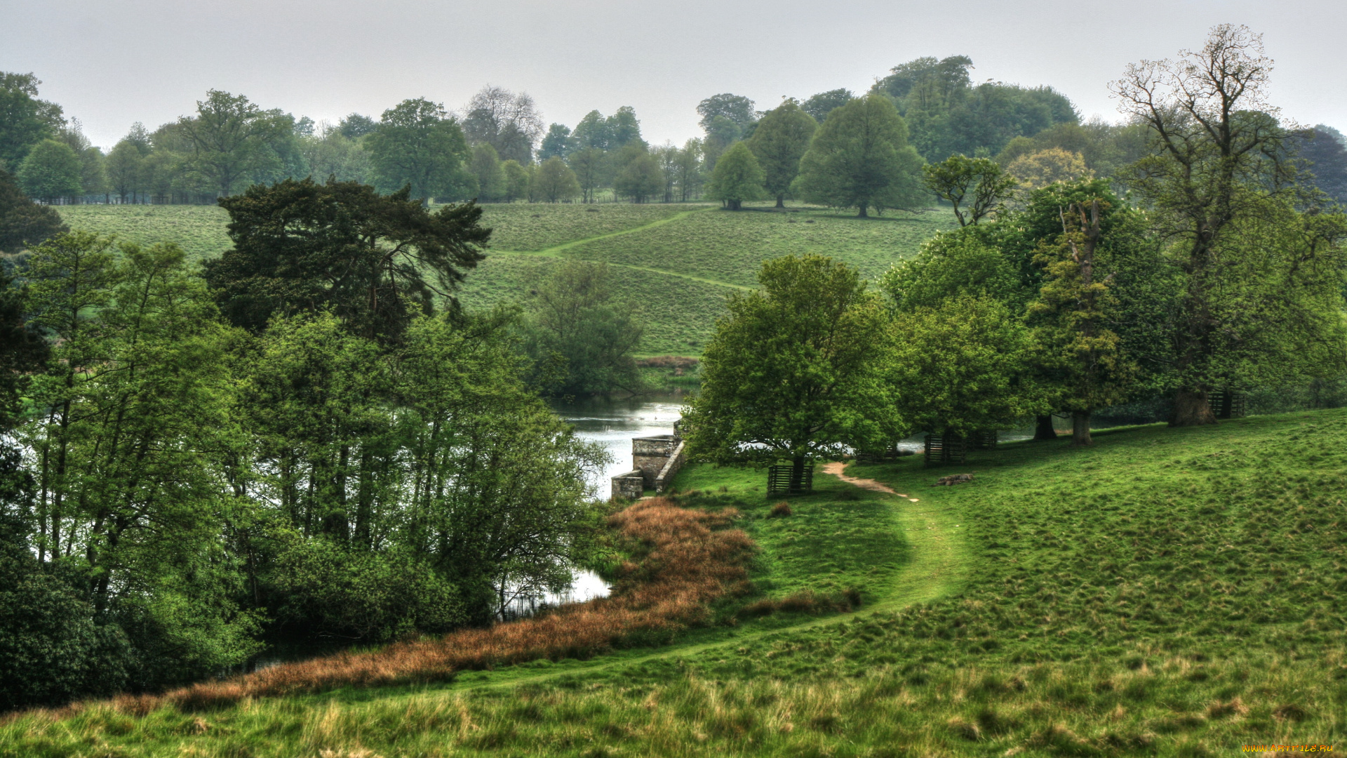 природа, реки, озера, трава, луга, деревья, река