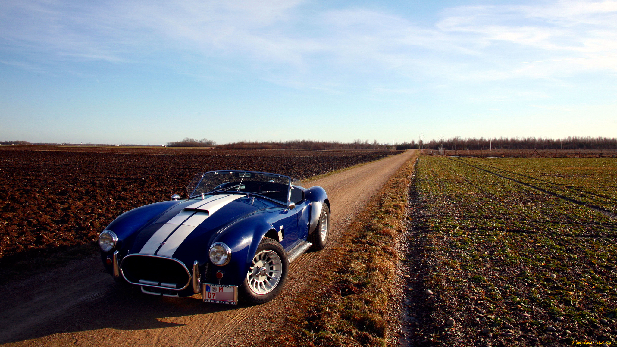 cobra, автомобили, ac, shelby, великобритания, спортивный