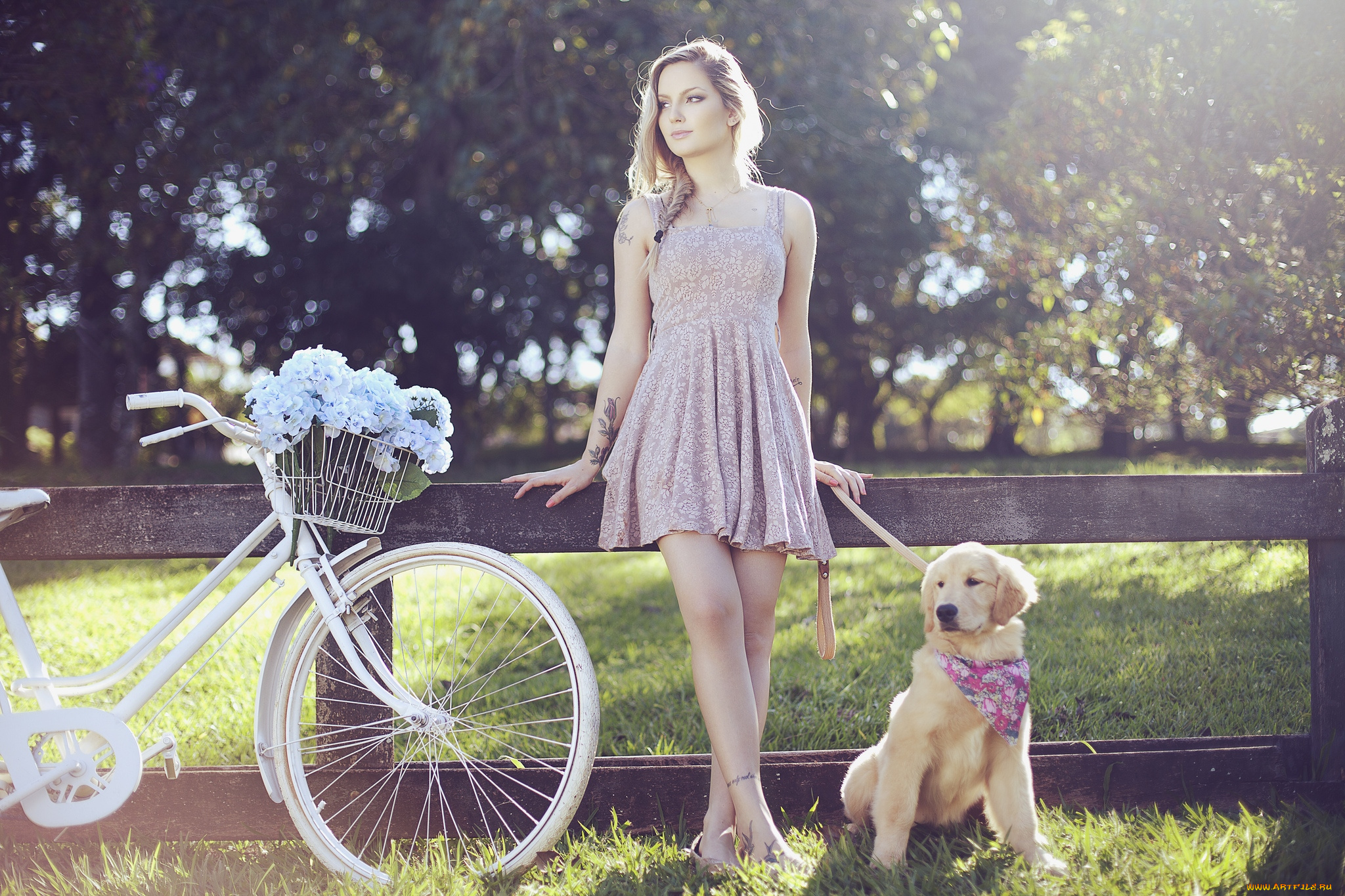 -Unsort, Блондинки, девушки, unsort, блондинки, волосы, велосипед, собака, настроение
