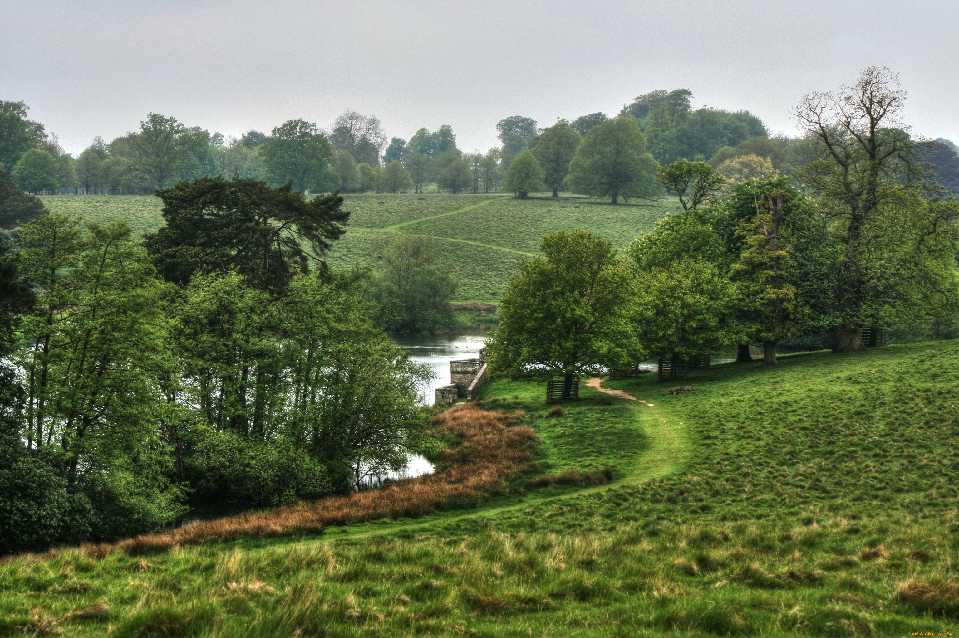 природа, реки, озера, трава, луга, деревья, река