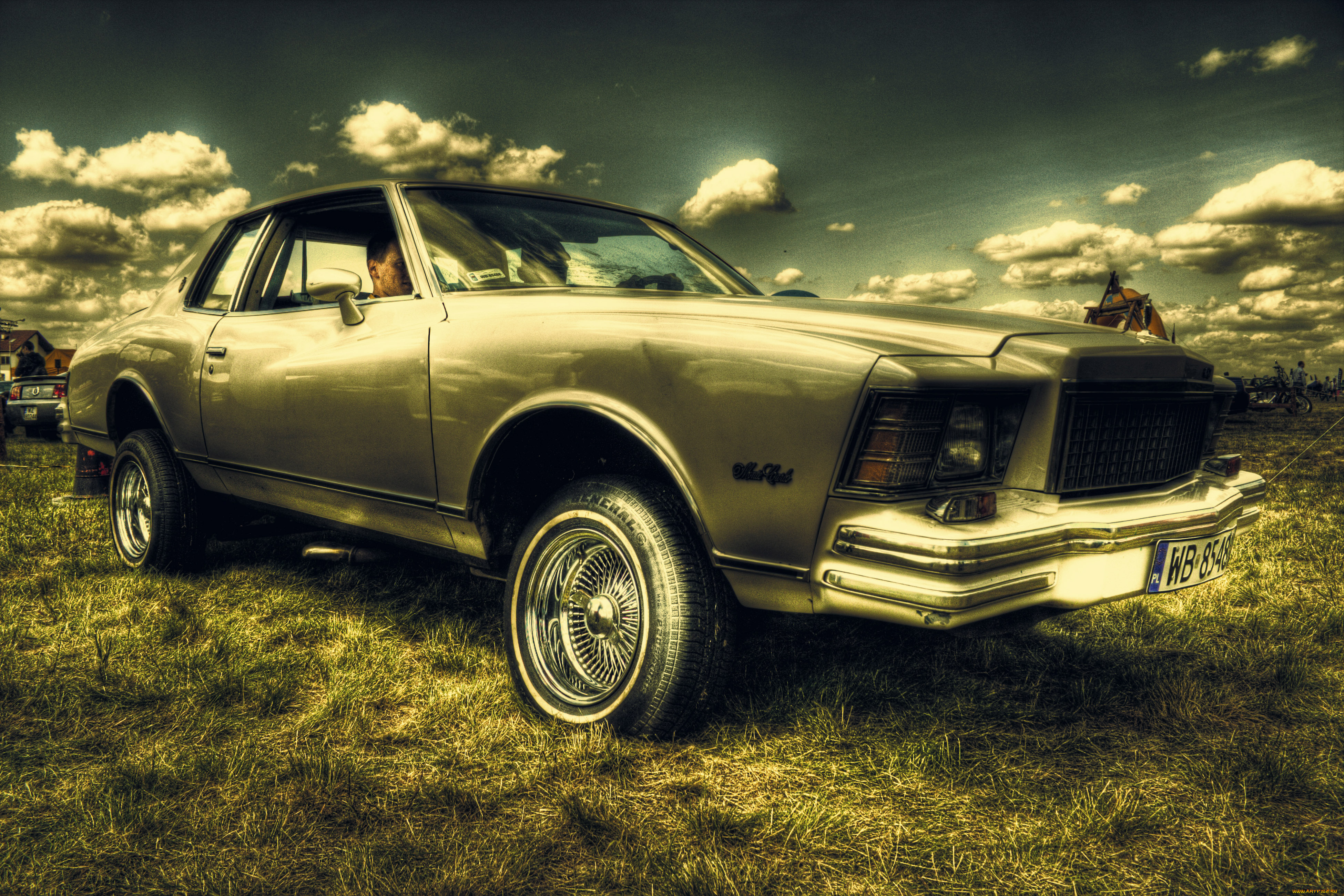 автомобили, выставки, уличные, фото, газон