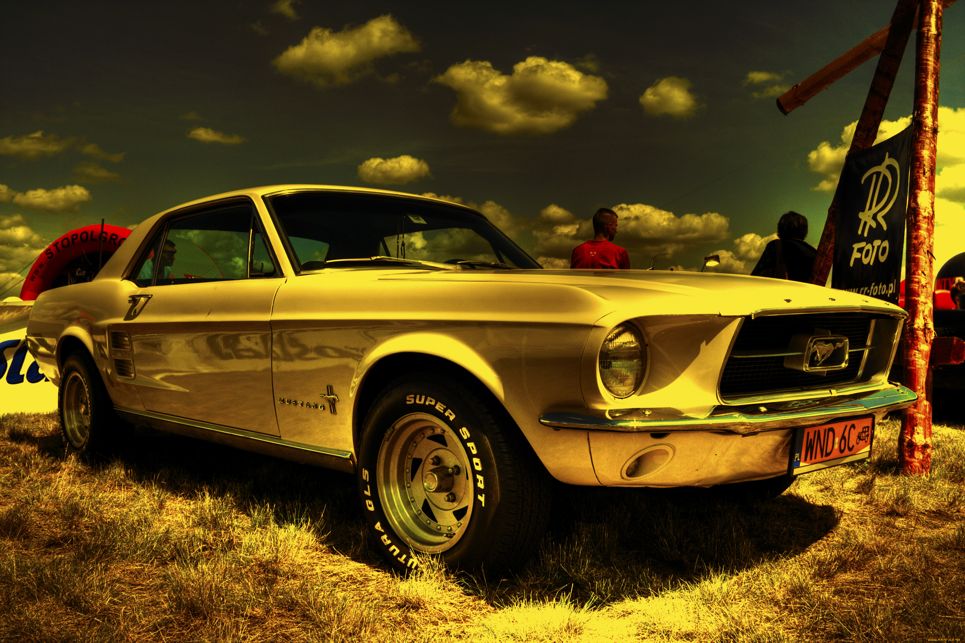 автомобили, выставки, уличные, фото, mustang