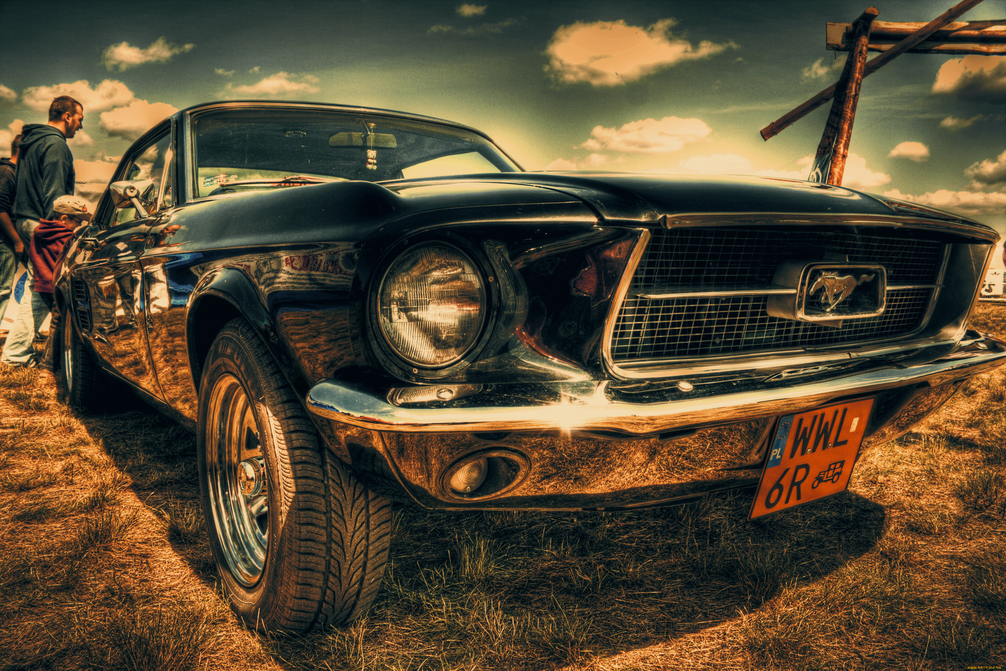 автомобили, выставки, уличные, фото, mustang