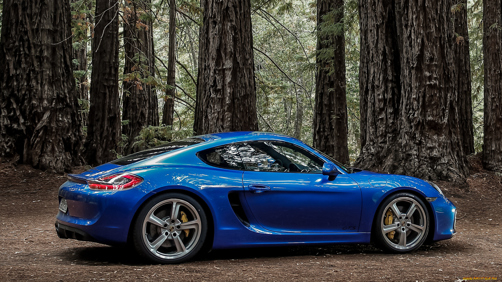 автомобили, porsche, синий, 2014г, 981c, gts, cayman