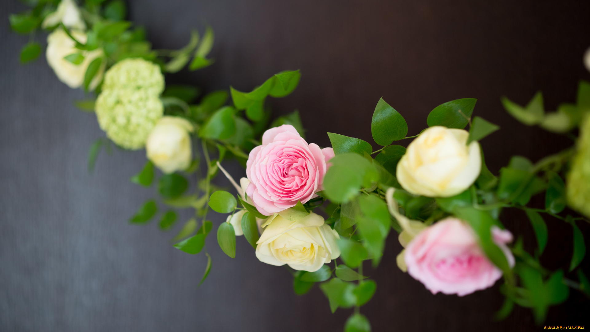 цветы, розы, листья, венок