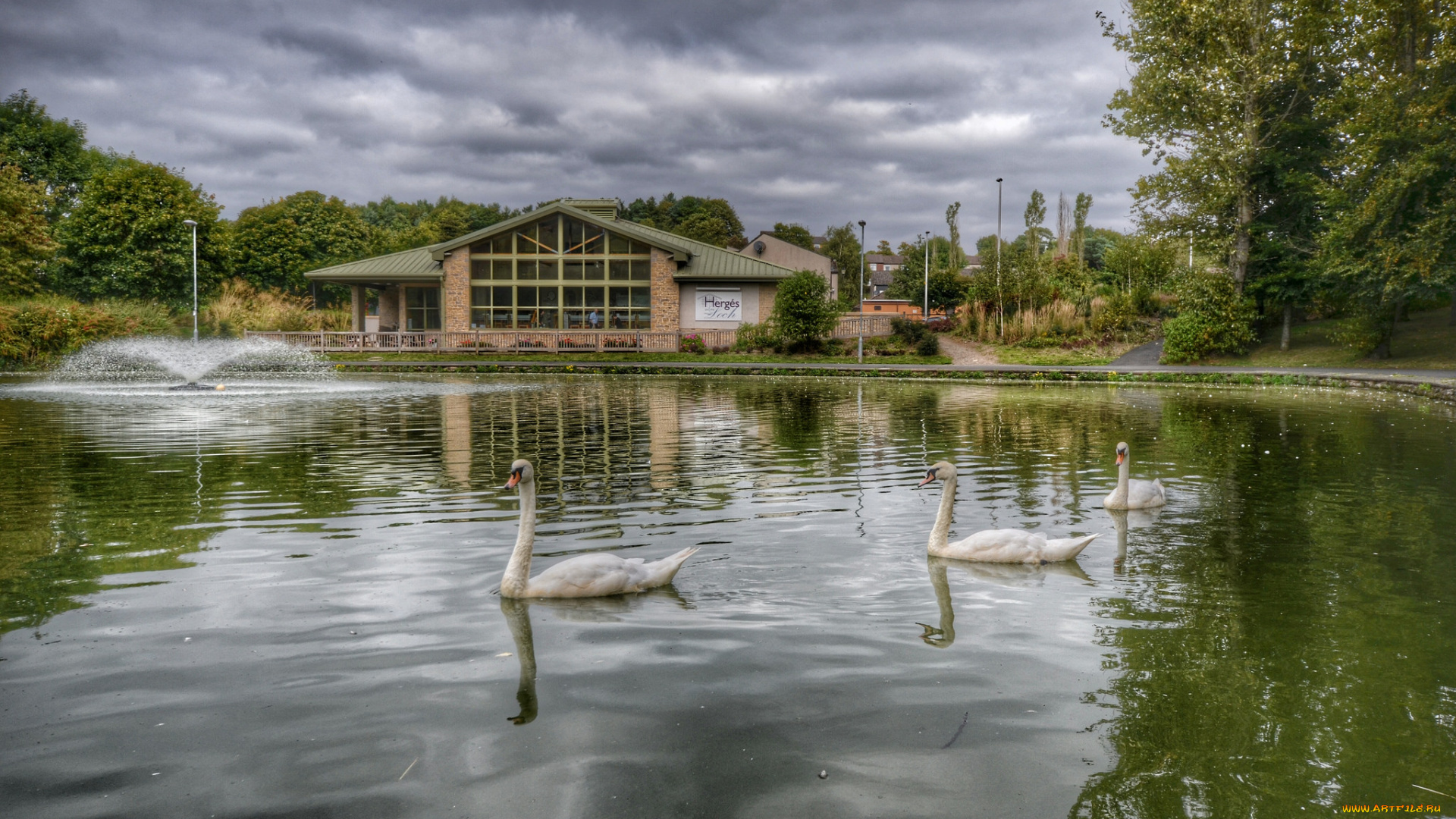 животные, лебеди, фонтан, пруд, парк