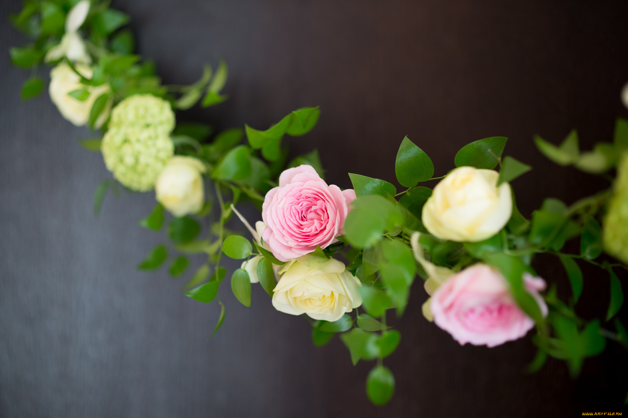 цветы, розы, листья, венок