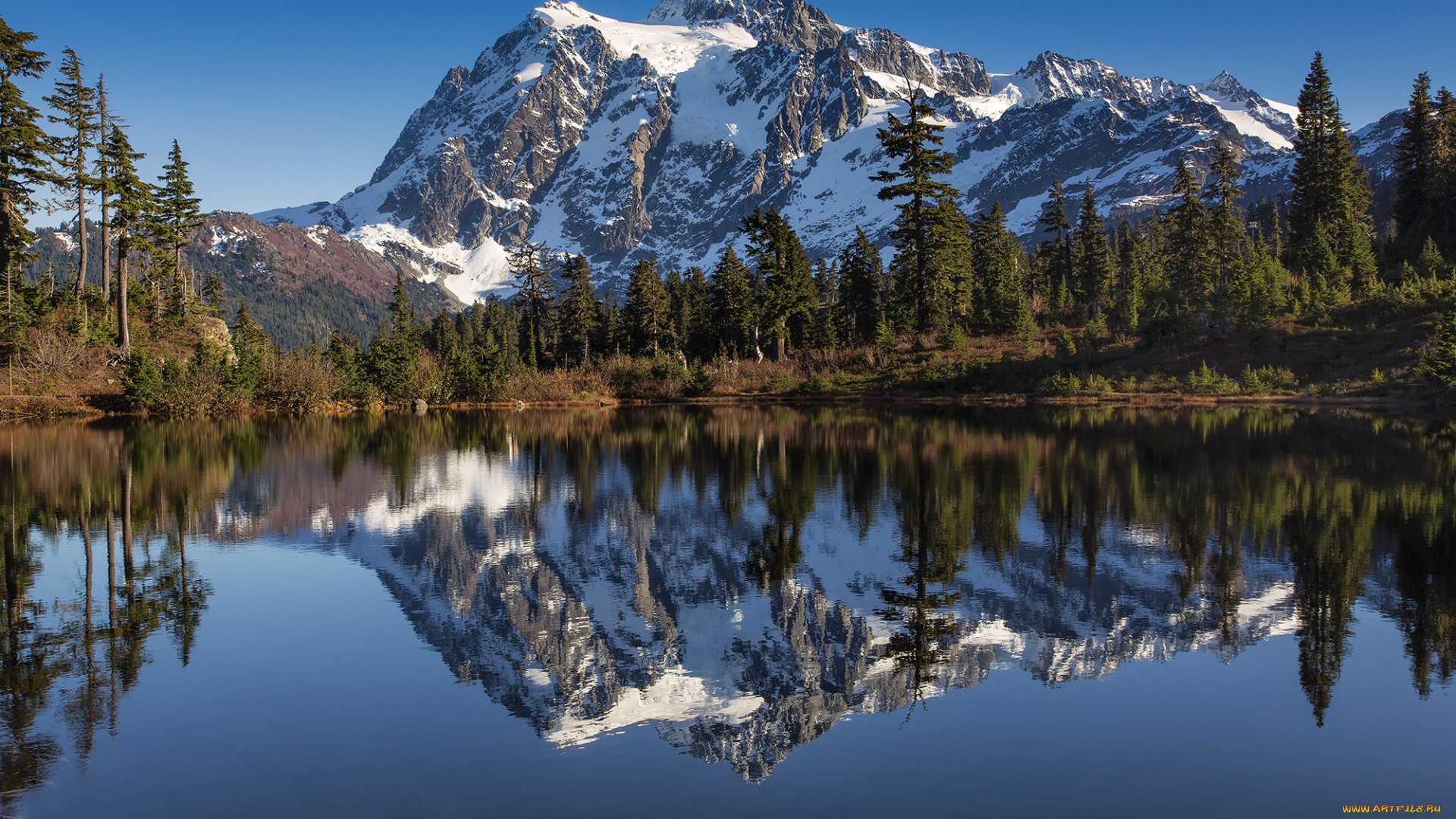 природа, реки, озера, горы, лес, река