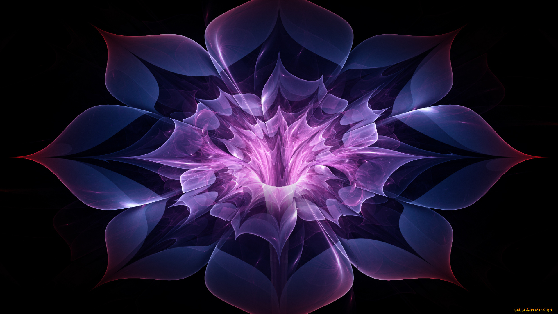 3д, графика, цветы, , flowers, цвета, узор, фон