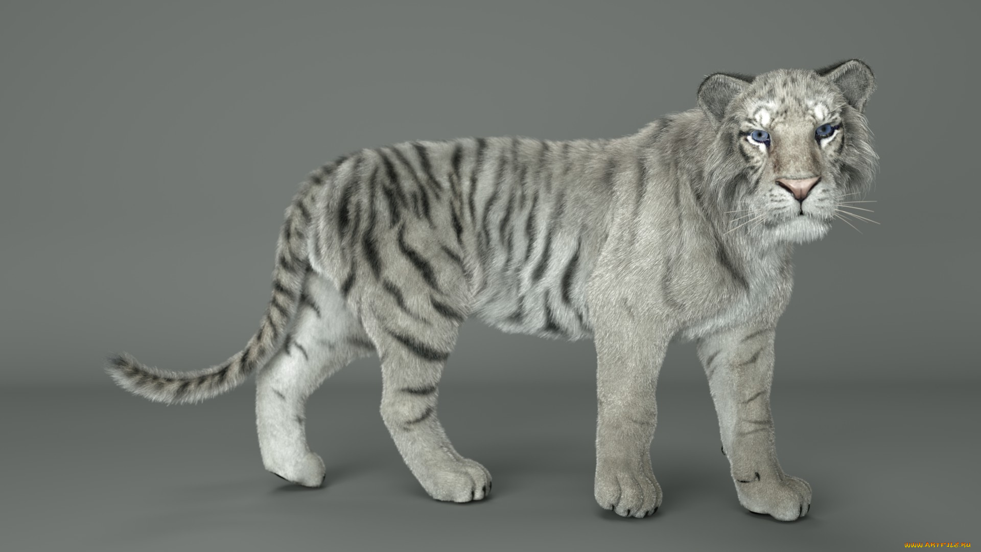 3д, графика, животные, , animals, фон, тигр