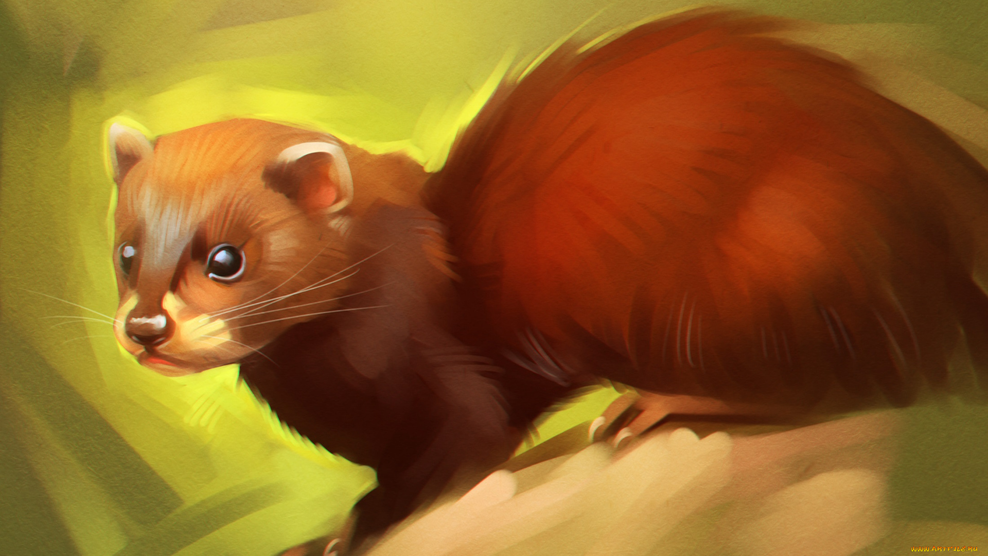 gaudibuendia, рисованное, животные, животное