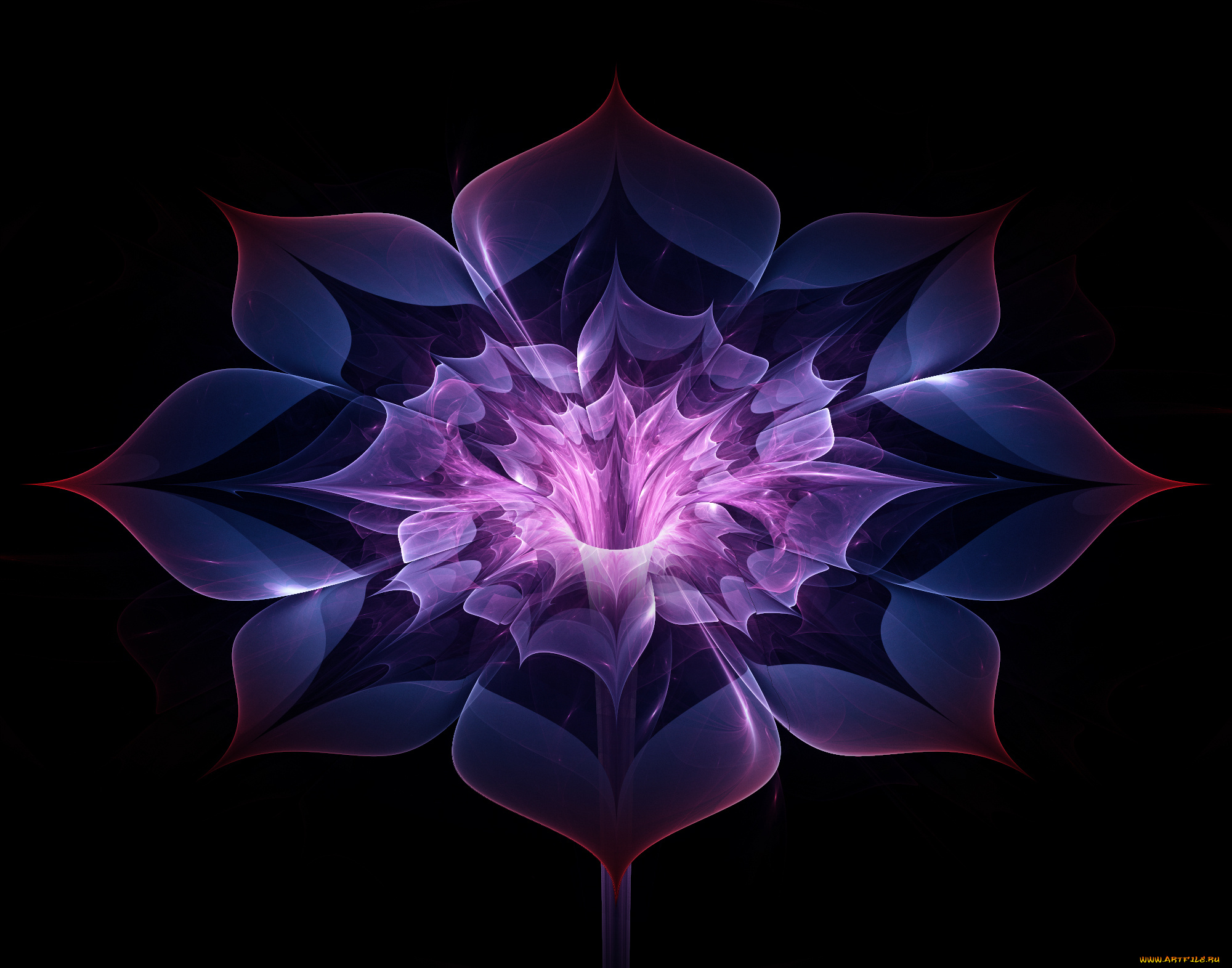 3д, графика, цветы, , flowers, цвета, узор, фон