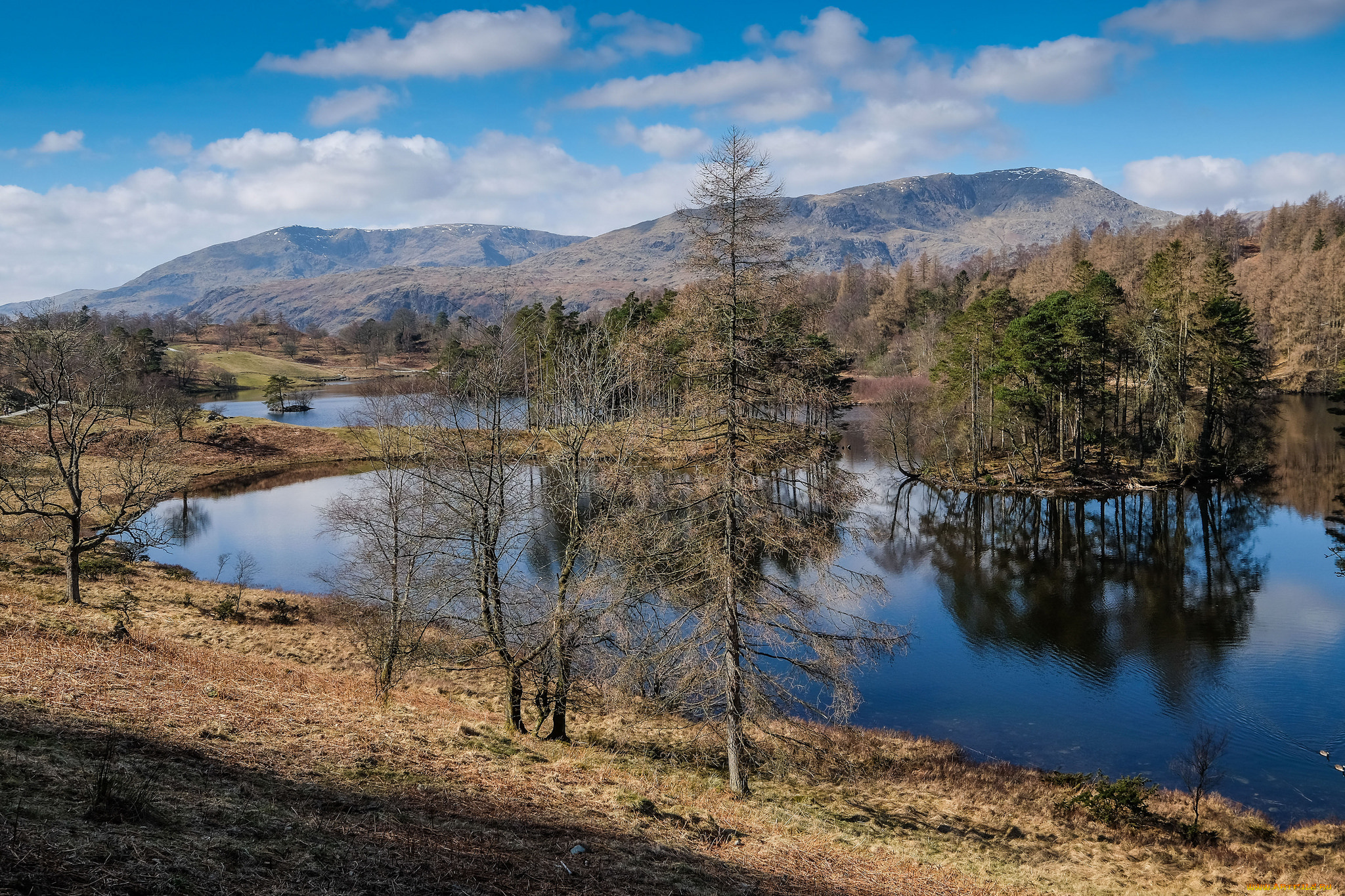 природа, реки, озера, река, лес