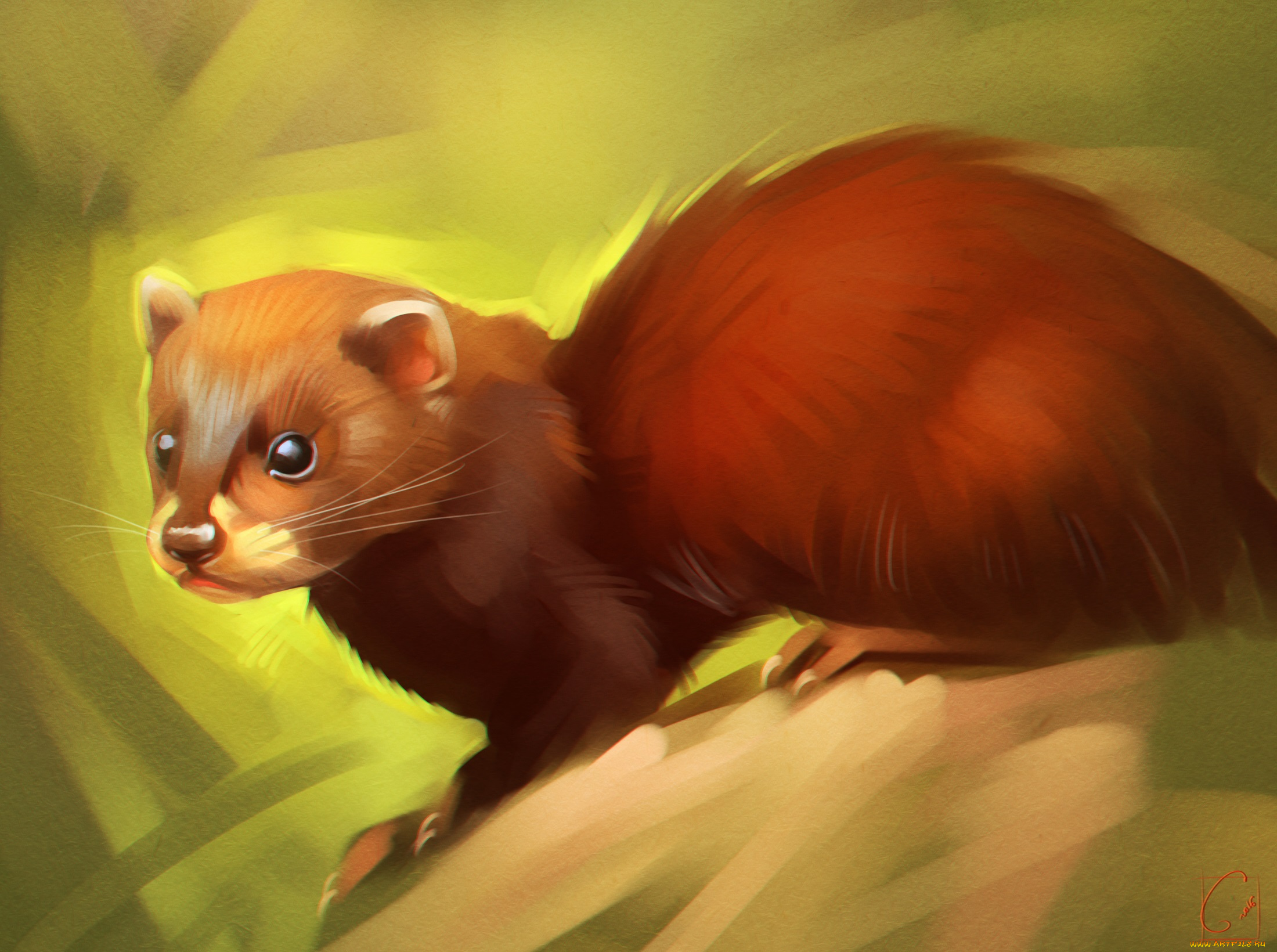 gaudibuendia, рисованное, животные, животное