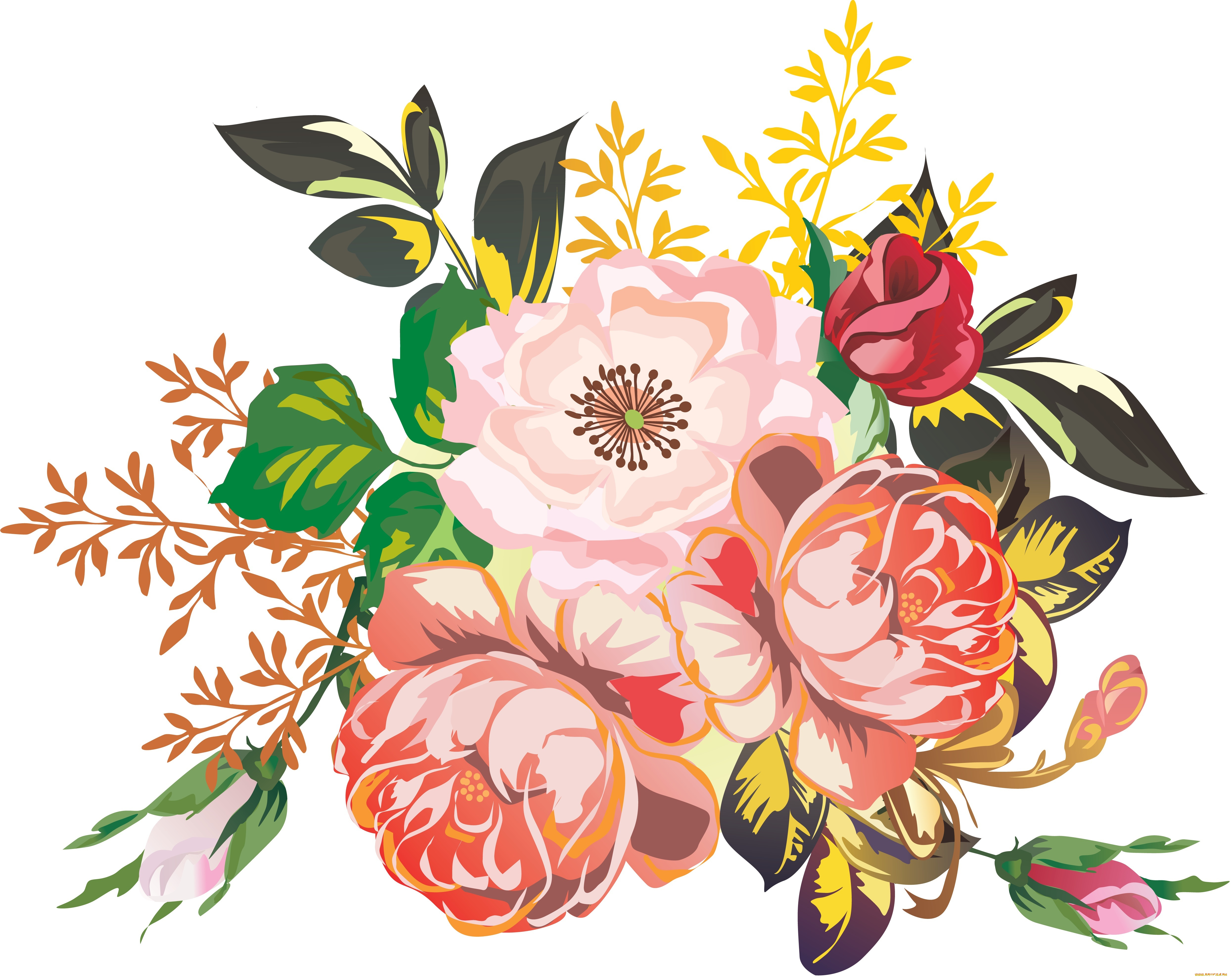 векторная, графика, цветы, , flowers, лепестки, цветы, фон