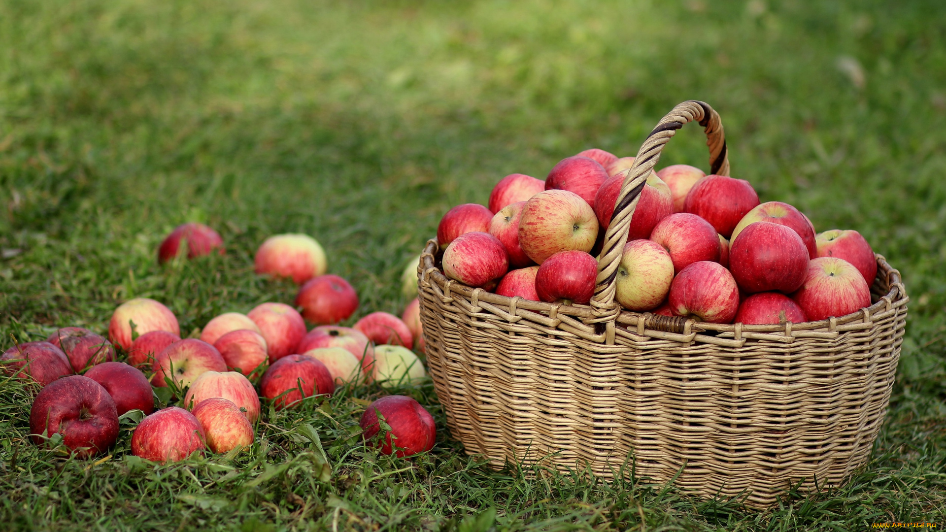 еда, Яблоки, корзина, трава, яблоки