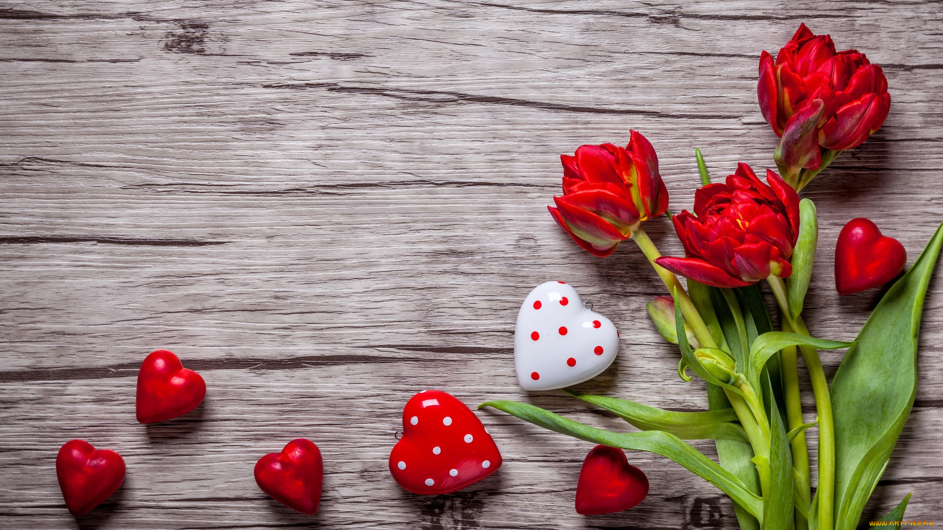 праздничные, день, святого, валентина, , сердечки, , любовь, тюльпаны