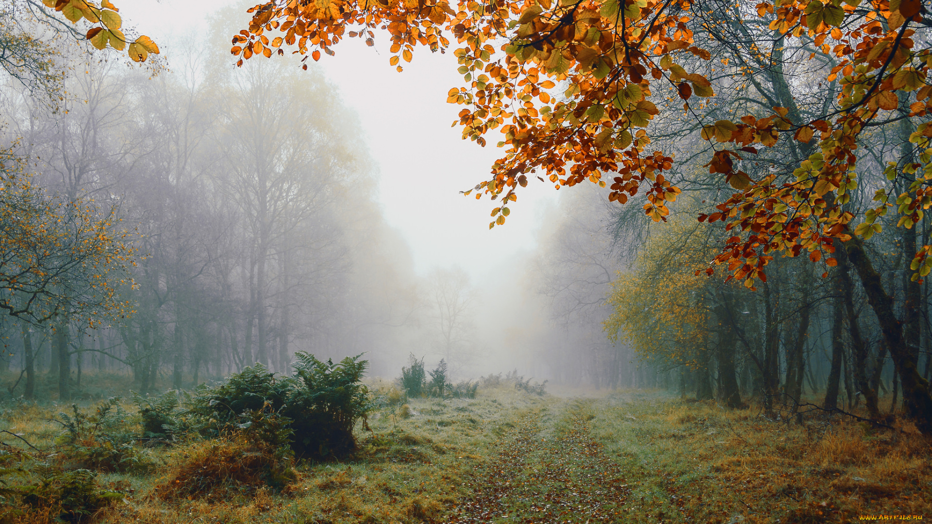 природа, дороги, простор