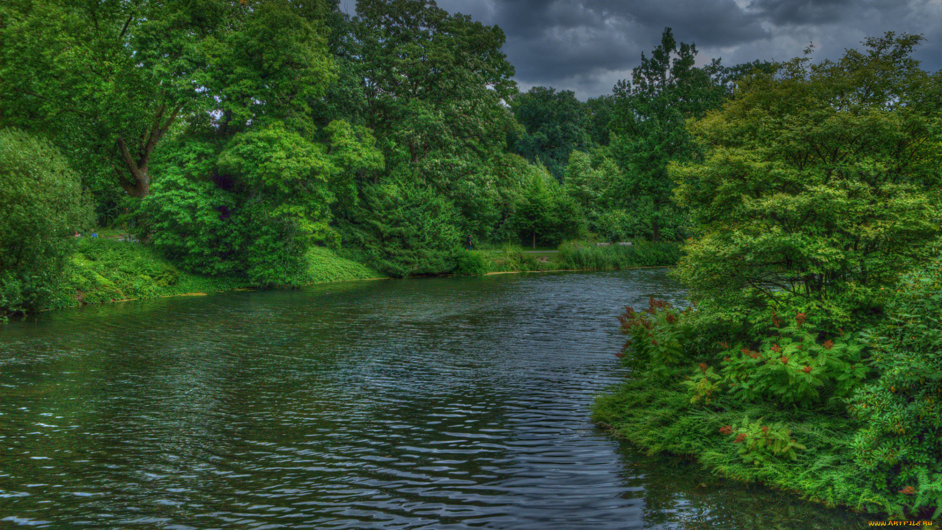 природа, реки, озера, простор