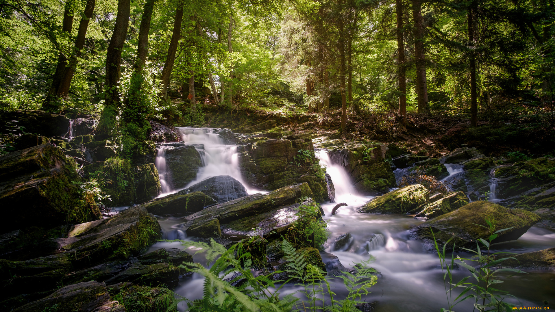 природа, реки, озера, простор