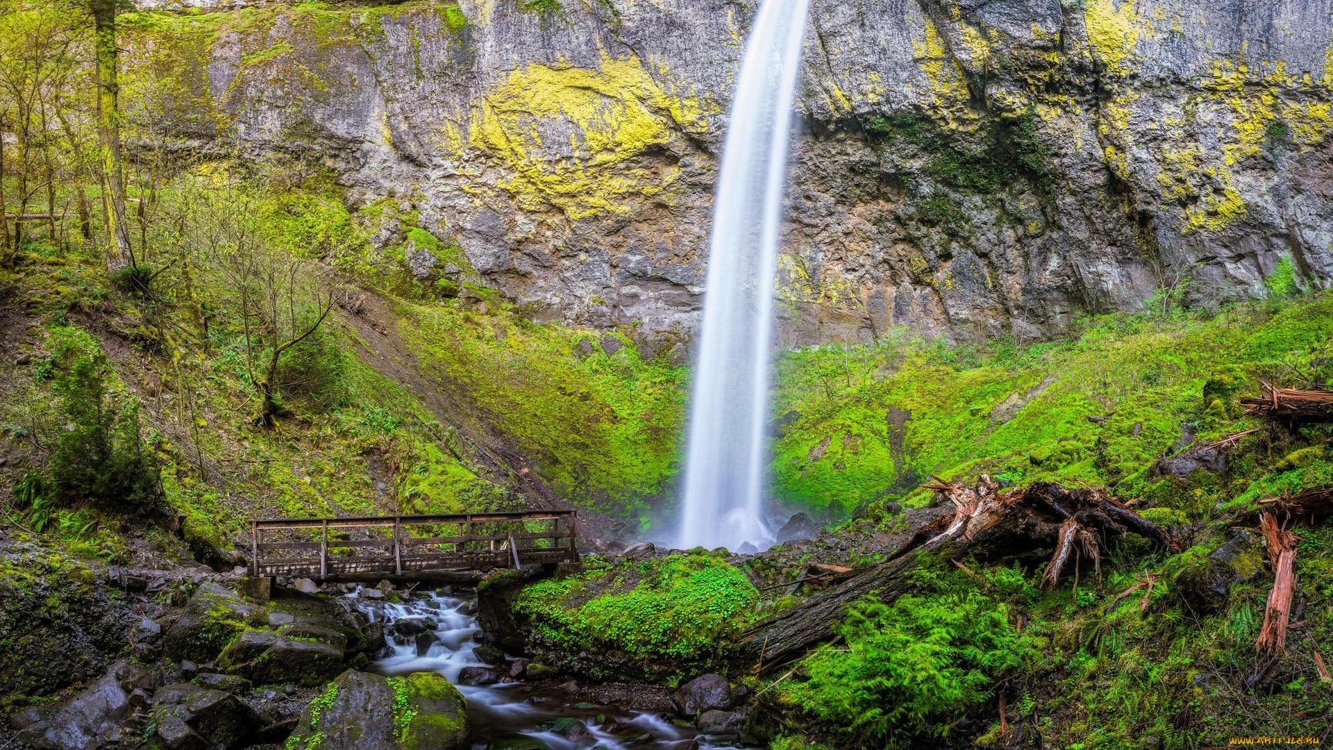 природа, водопады, скала, upper, oneonta, waterfalls, водопад, columbia, river, gorge
