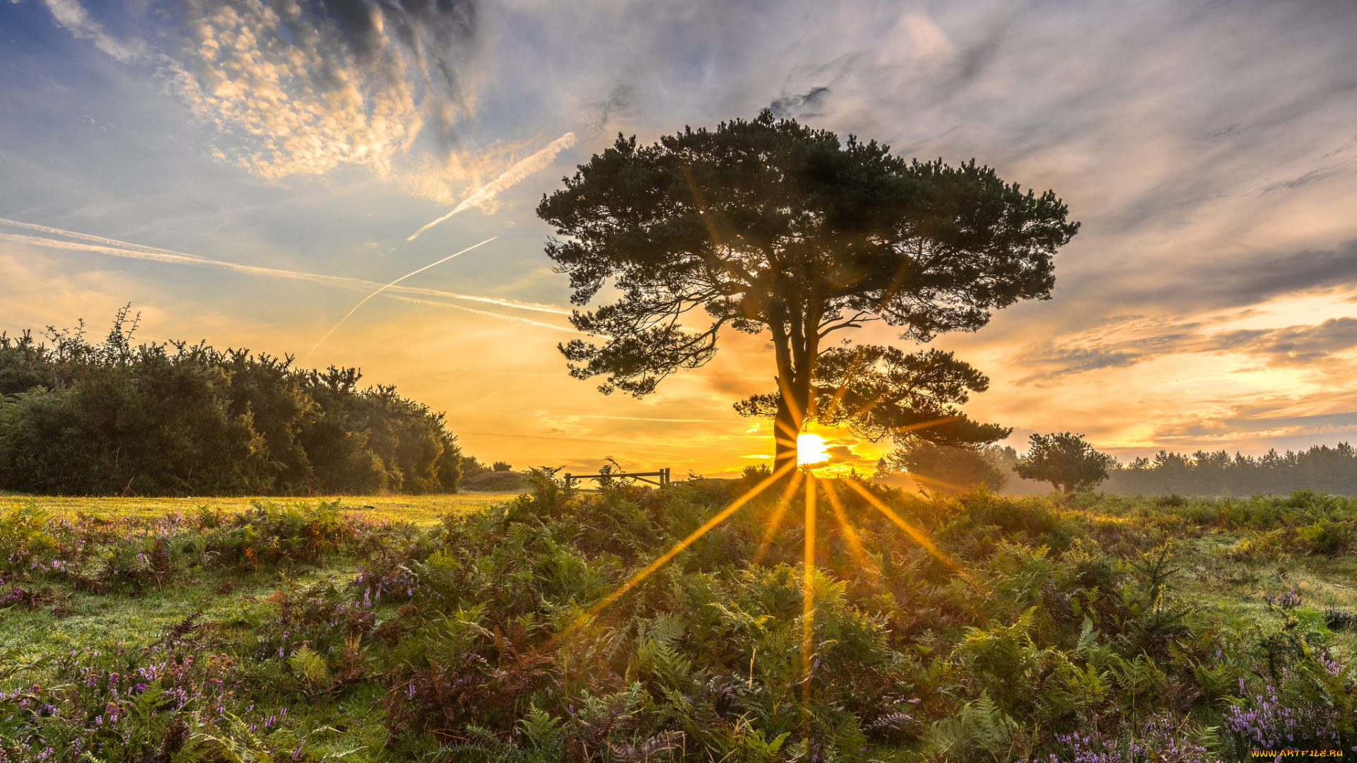 природа, восходы, закаты, простор