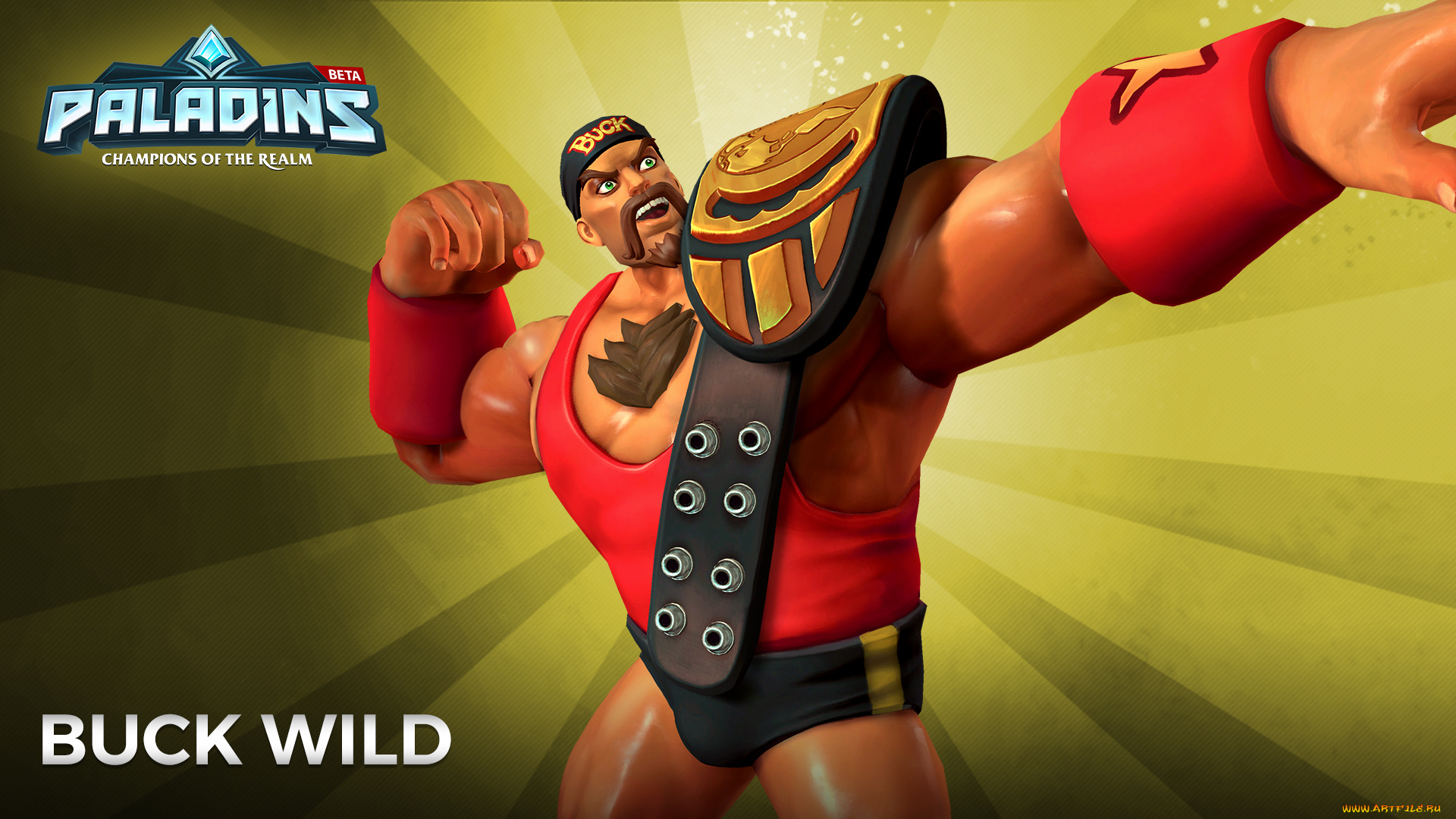 видео, игры, paladins, action, шутер, онлайн