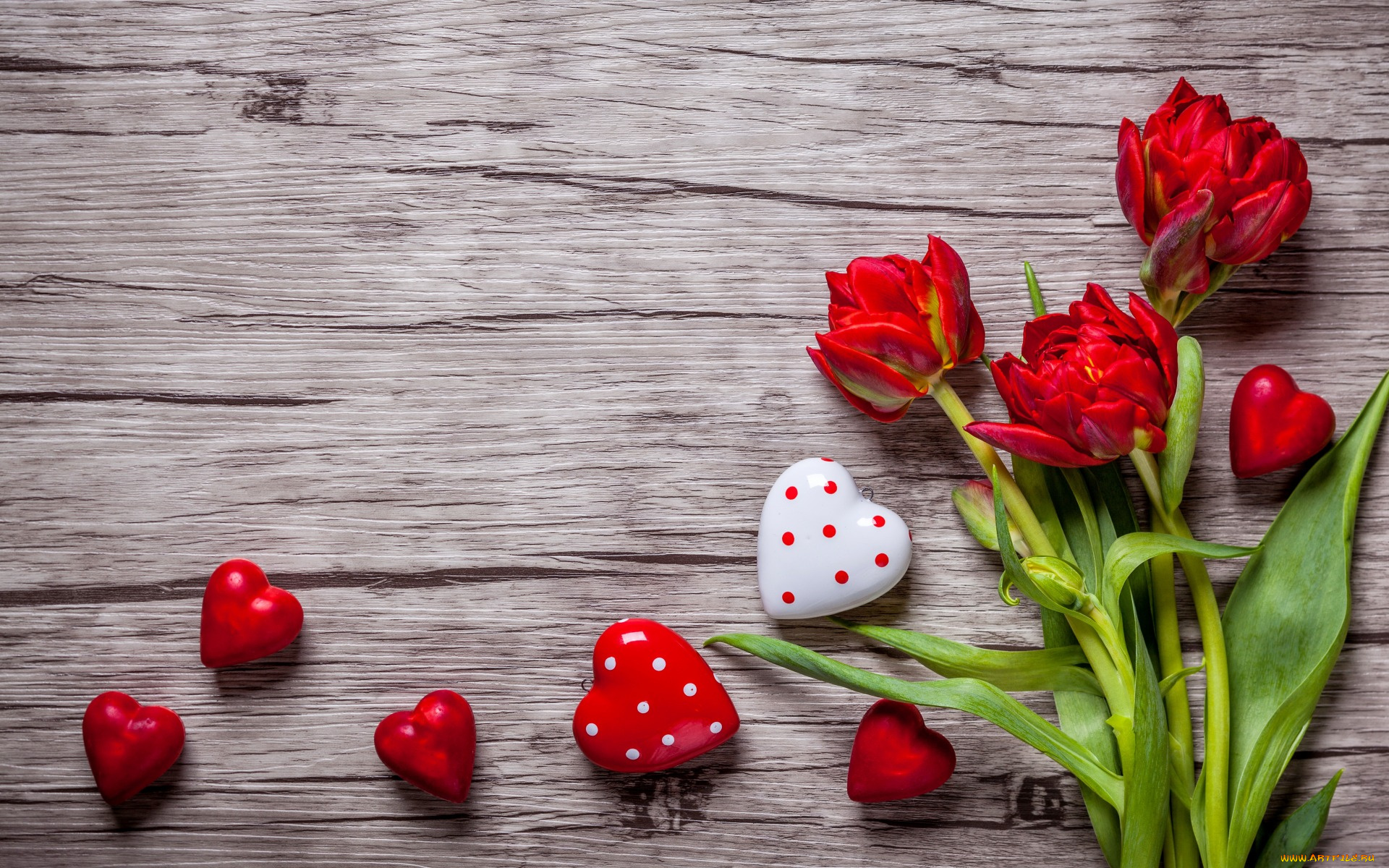 праздничные, день, святого, валентина, , сердечки, , любовь, тюльпаны